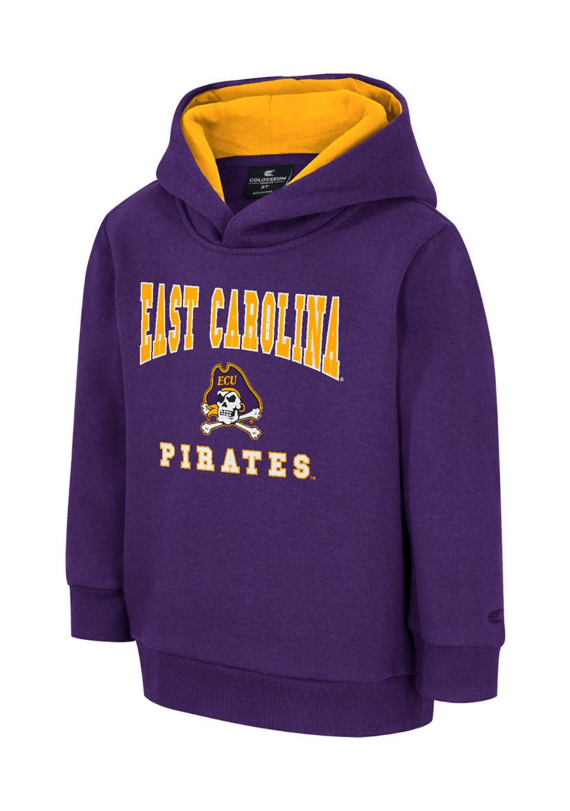 Toddler Boys NCAA East Carolina Pirates Graphic Hoodie 