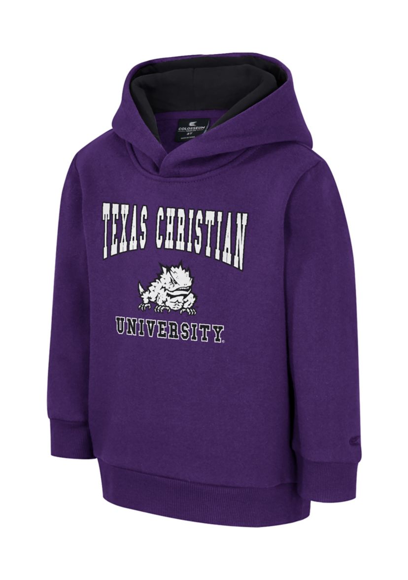 Toddler Boys NCAA TCU Horned Frogs Graphic Hoodie 