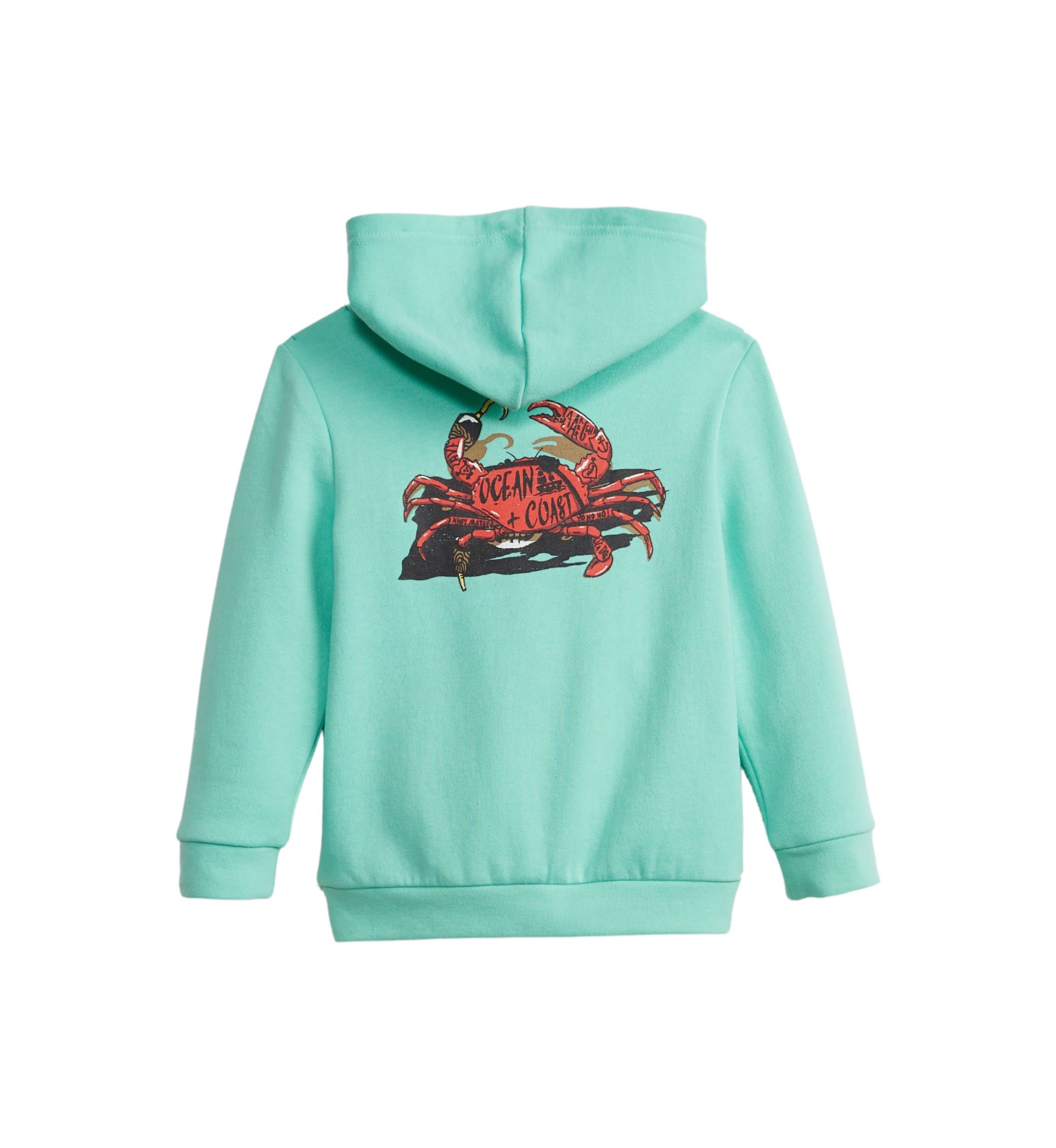 Toddler Boys Graphic Fleece Hoodie 