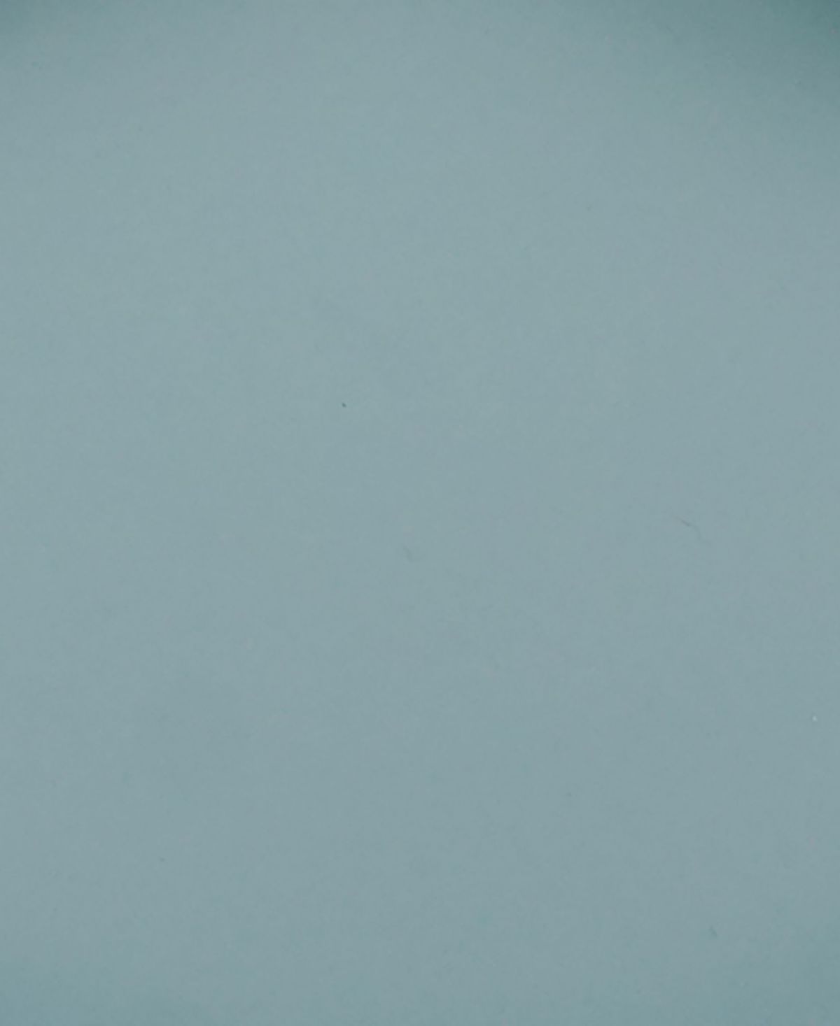 Babies and Toddlers Silicone Feeding Suction Plate