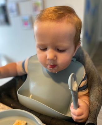 Babies and Toddlers Silicone Feeding Bib