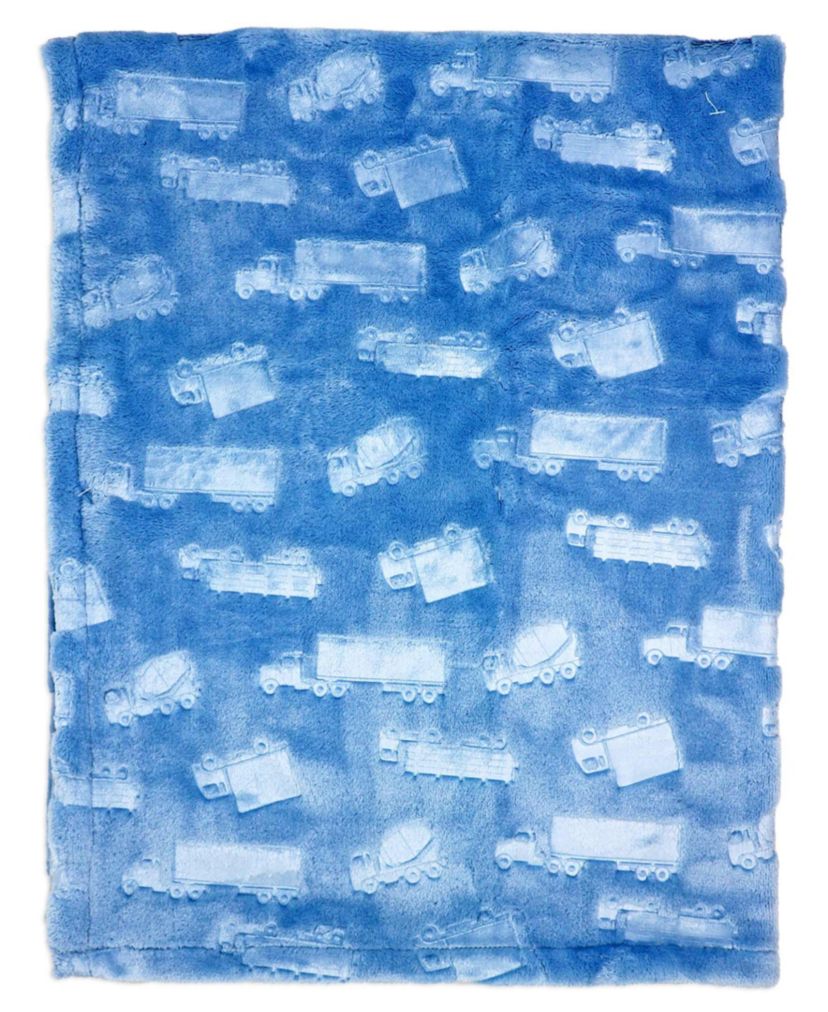 Baby Boys and Baby Girls Embossed Plush Minky Blanket