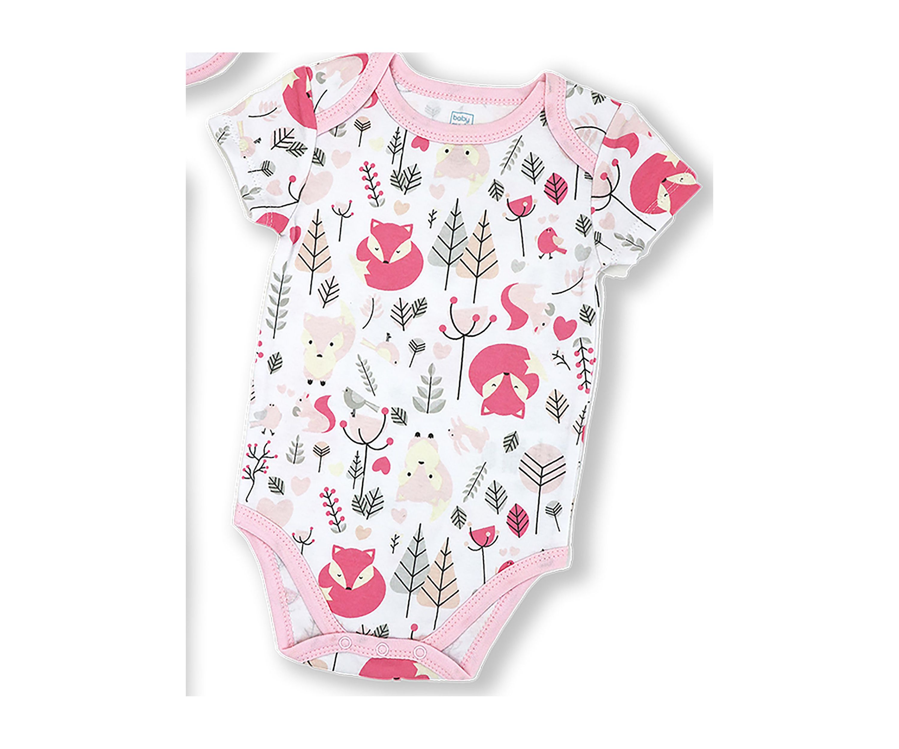 Baby Girls 5 Piece Fox Layette