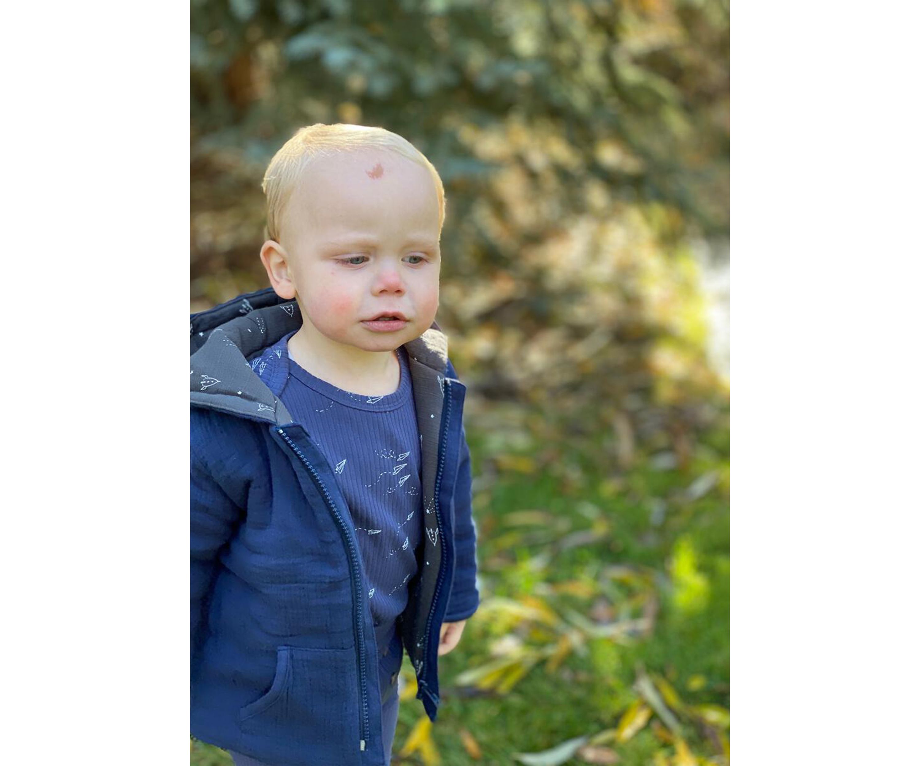 Baby Boys Austell Hooded Jacket
