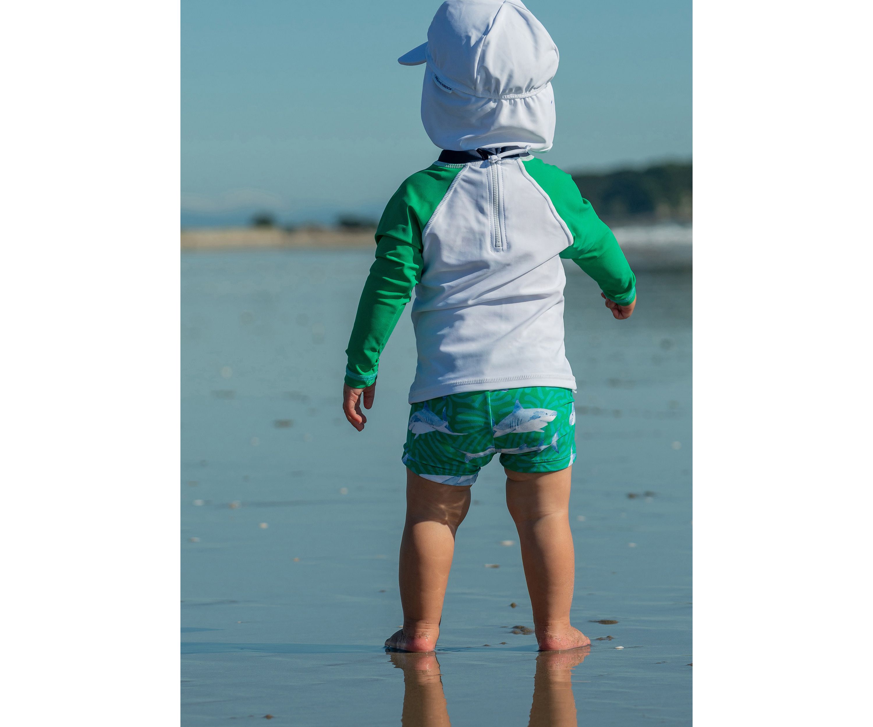 Reef Shark LS Set