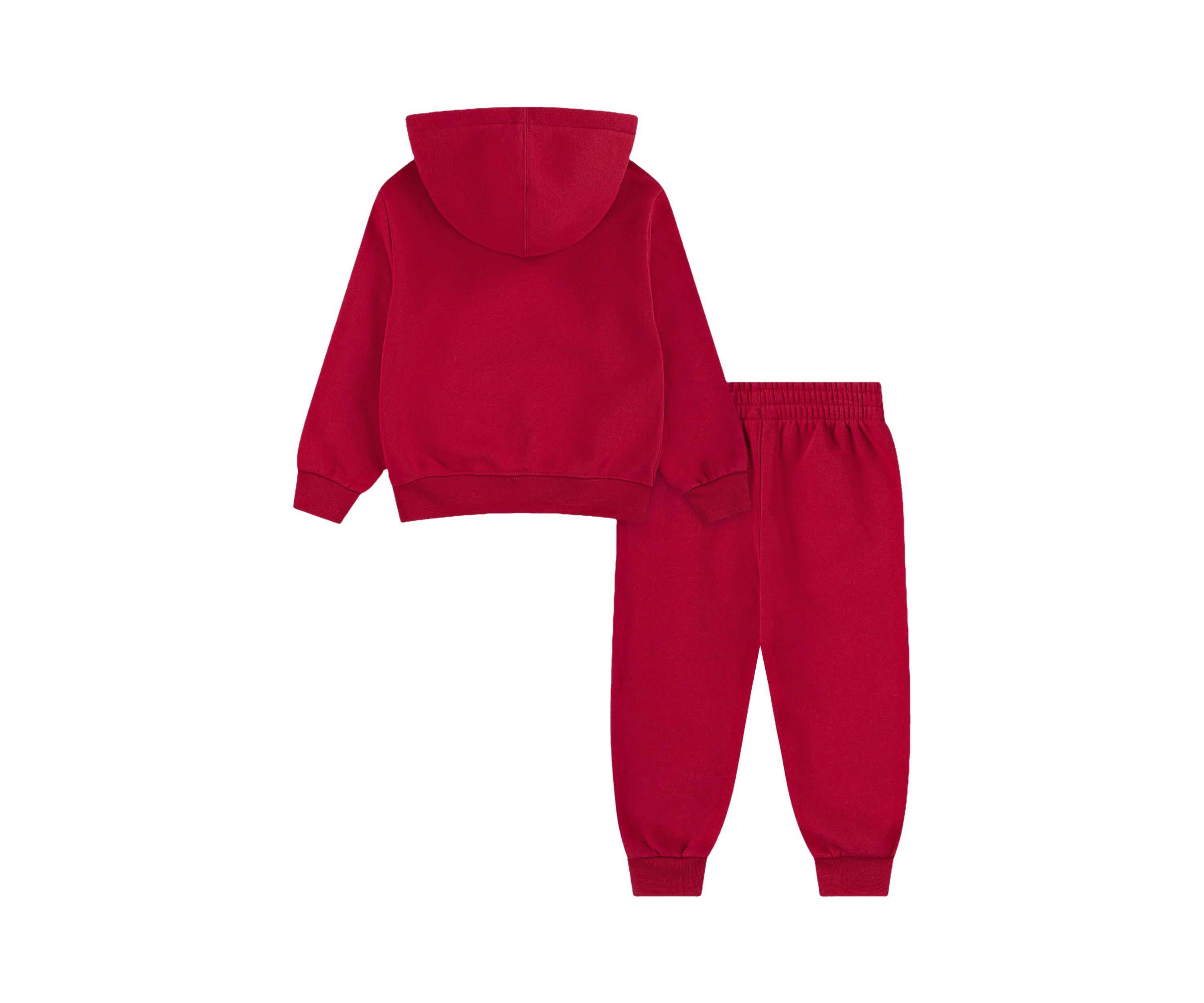 Toddler Boys Hoodie and Joggers Set