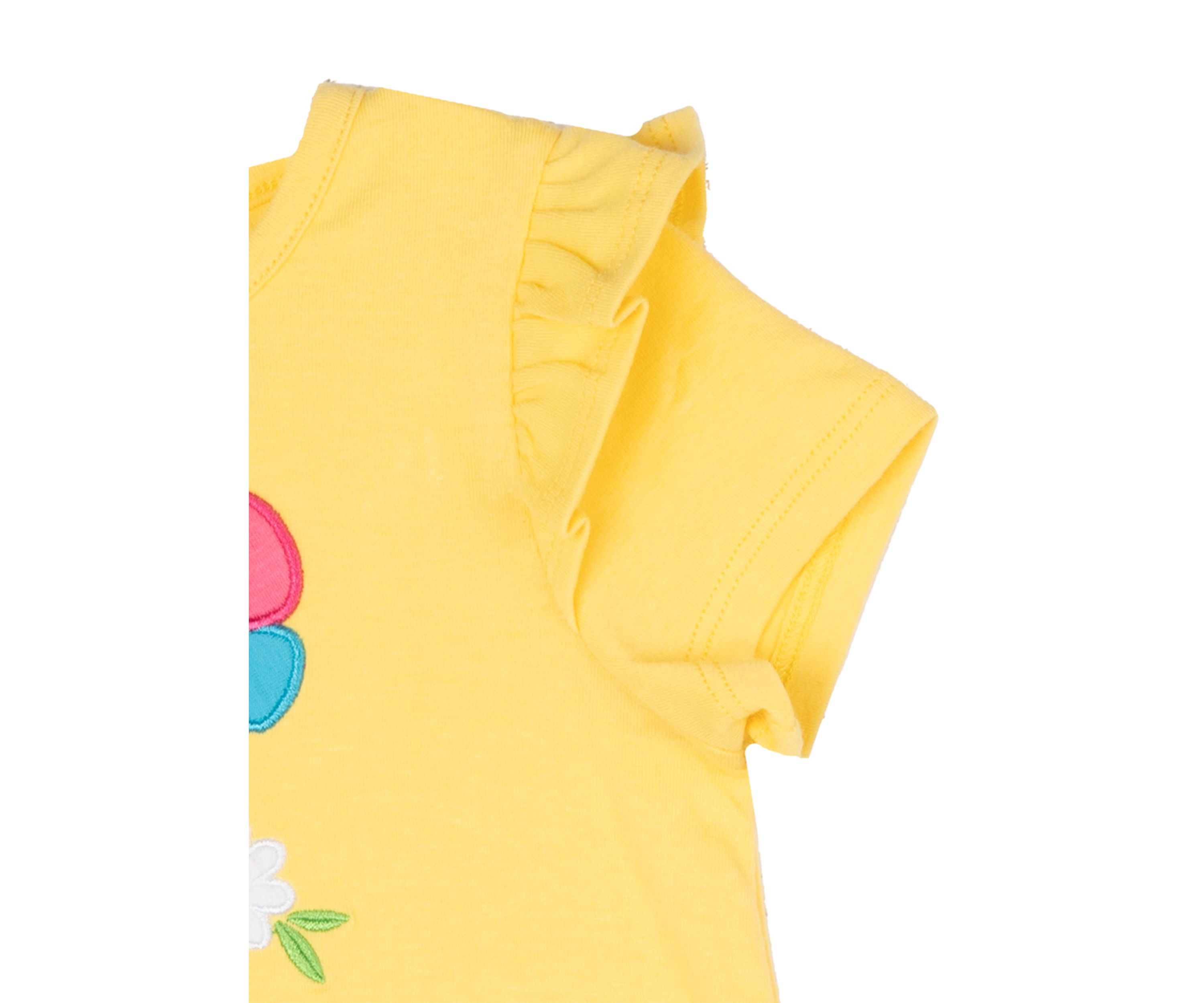 Baby Girls Butterfly Dress and Bloomer
