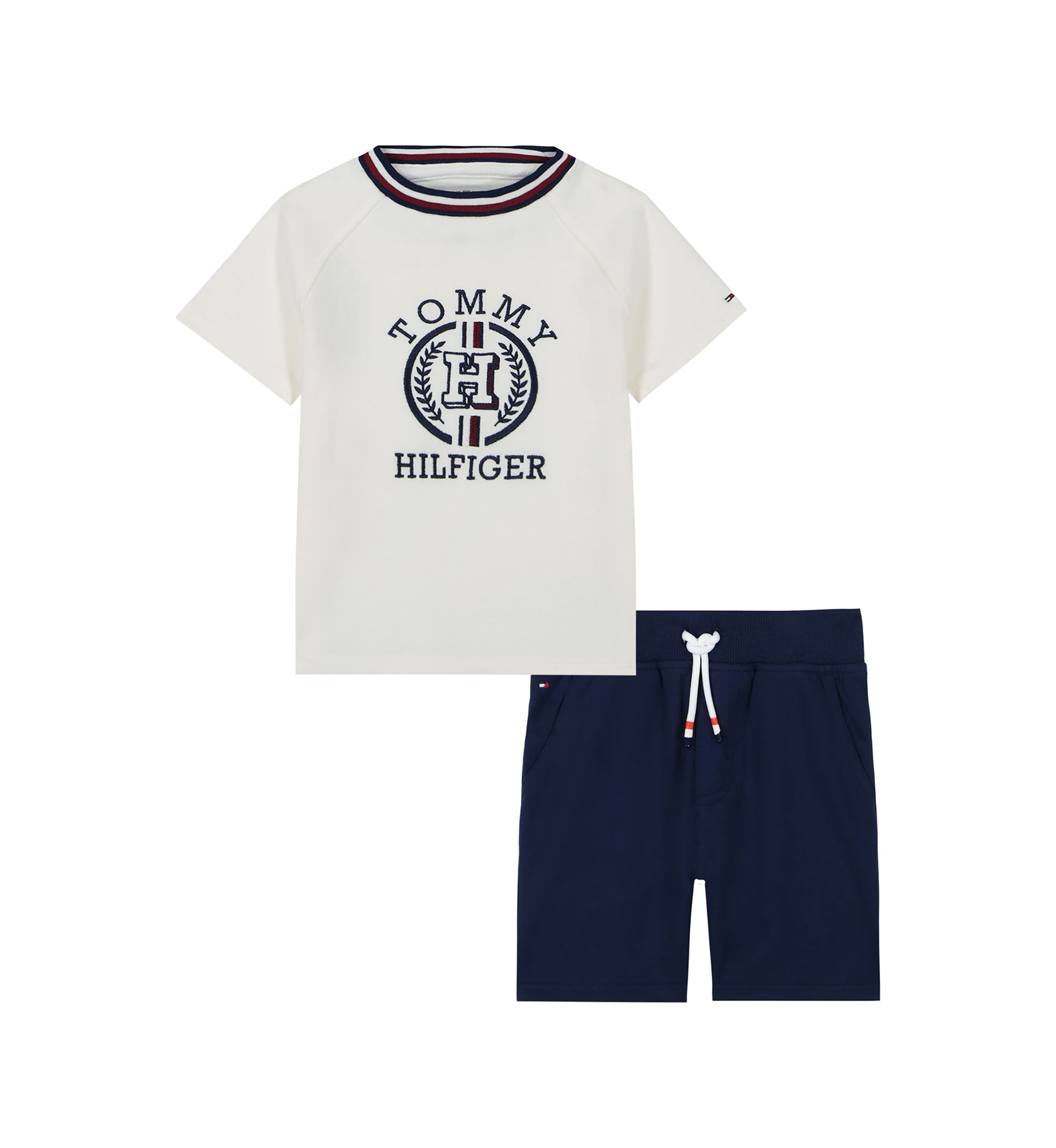 Toddler Boys Graphic T-Shirt and Shorts Set
