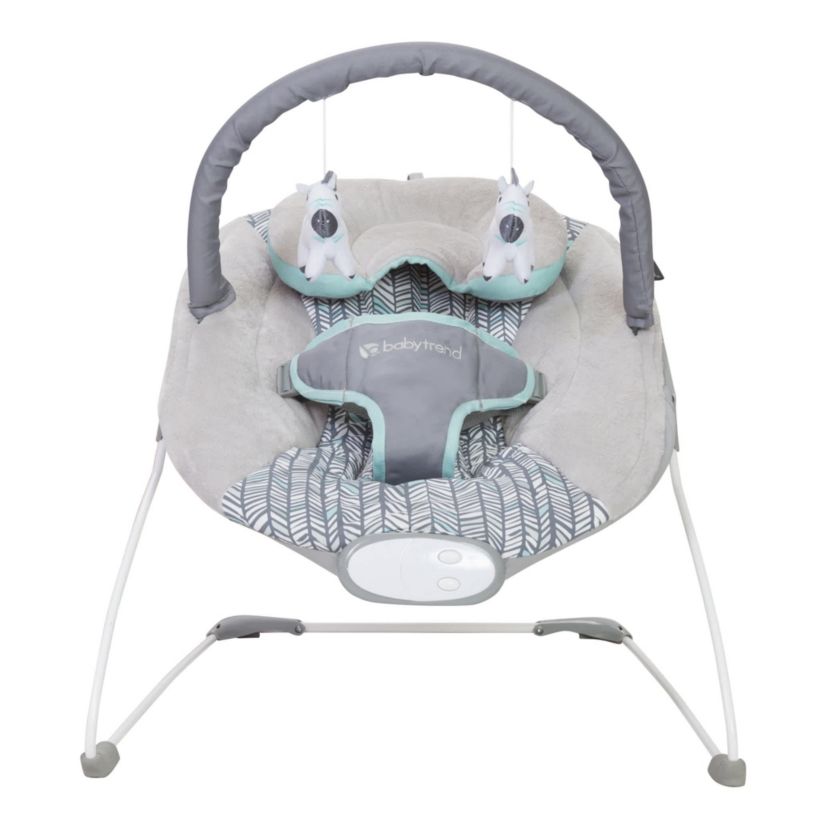Trend EZ Bouncer - Ziggy