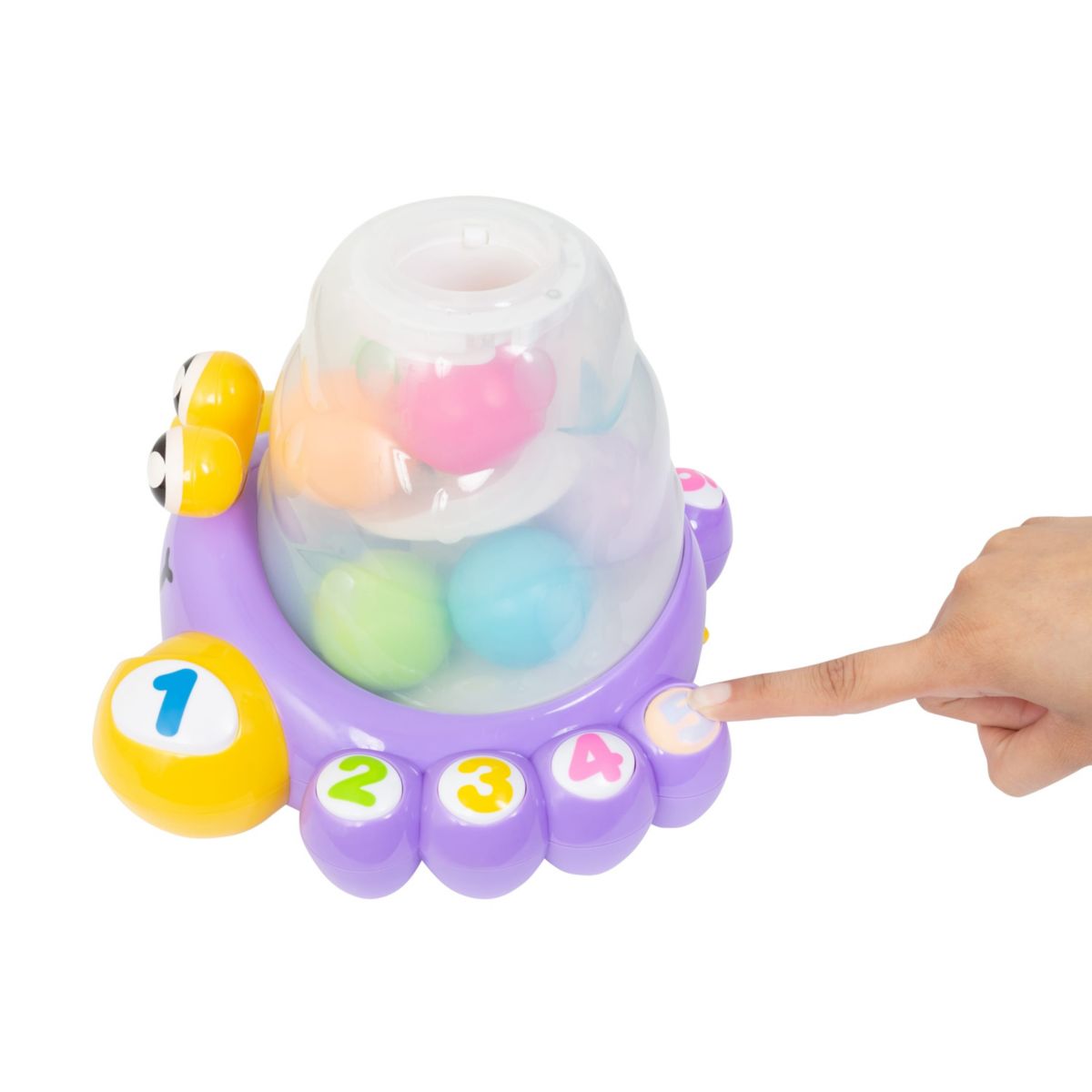 Beginning Brainiacs Fun Box -