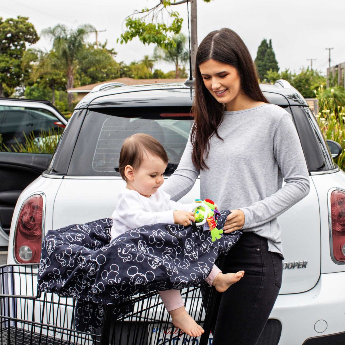 Shopping Cart and High Chair Cover
