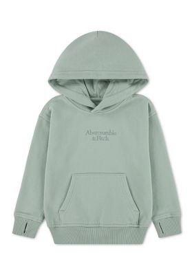 abercrombie kids Kids toddler logo pullover, 4T