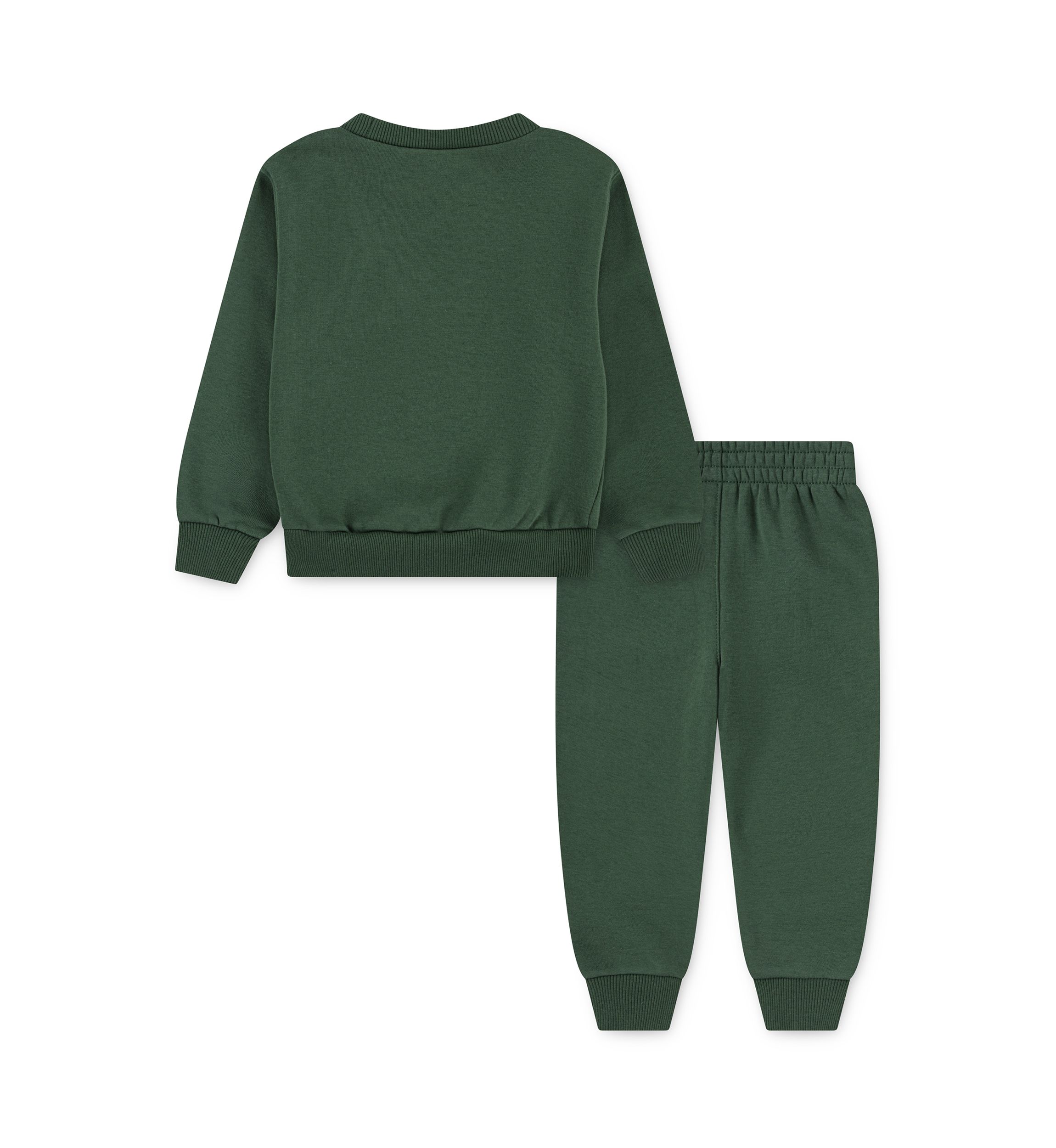 Toddler Boys Graphic Fleece Sweatshirt and Joggers Set