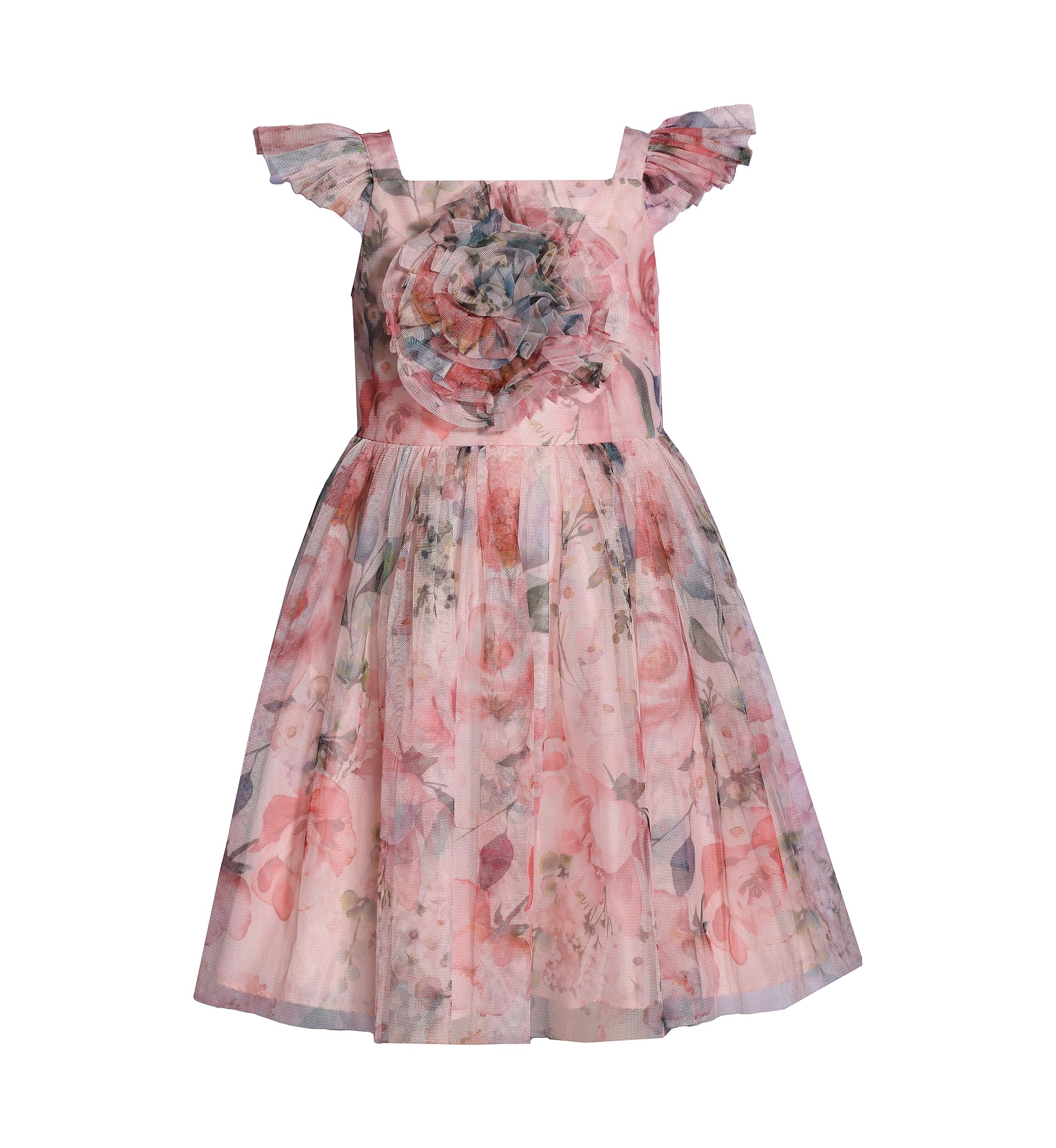 Girls 4-6x Ruched Self Flower Printed Mesh Dress