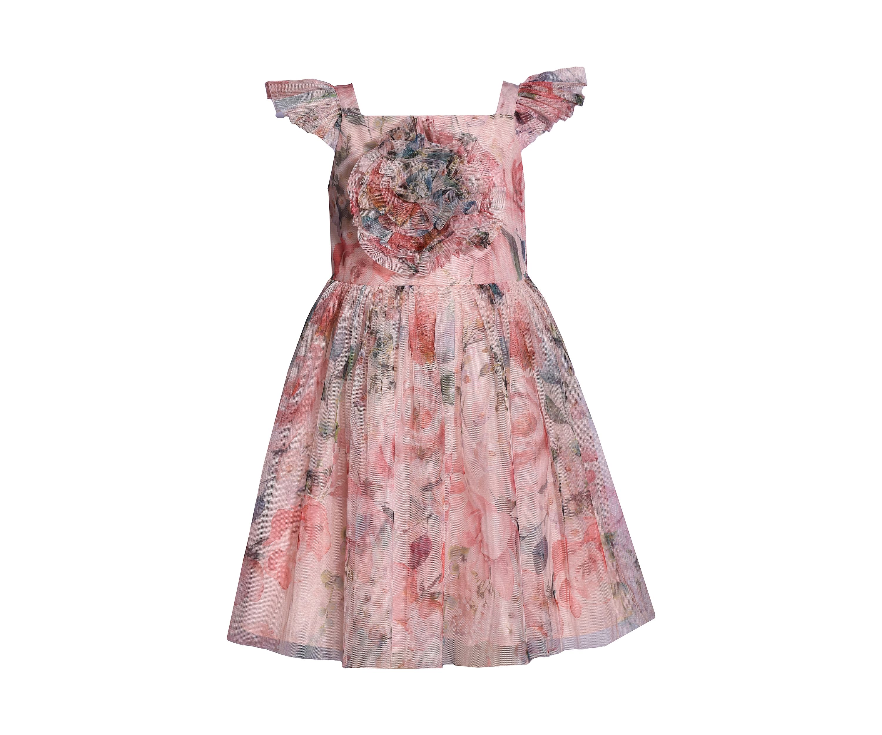Girls 4-6x Ruched Self Flower Printed Mesh Dress