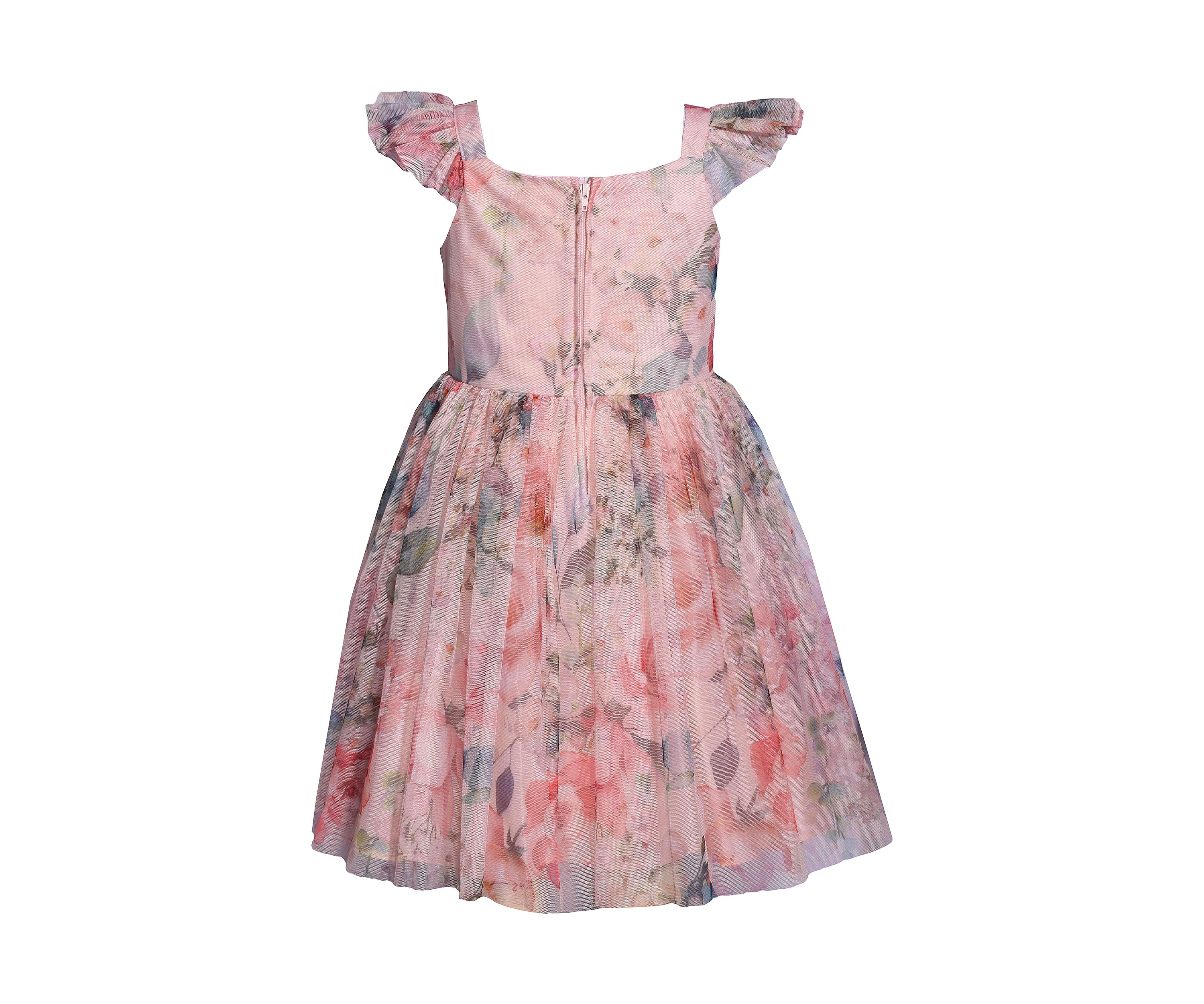 Girls 4-6x Ruched Self Flower Printed Mesh Dress