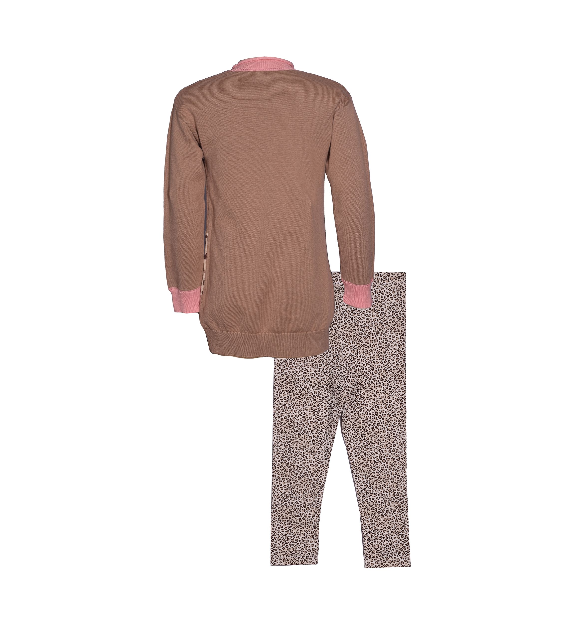 Girls 4-6x Animal Sweater Set