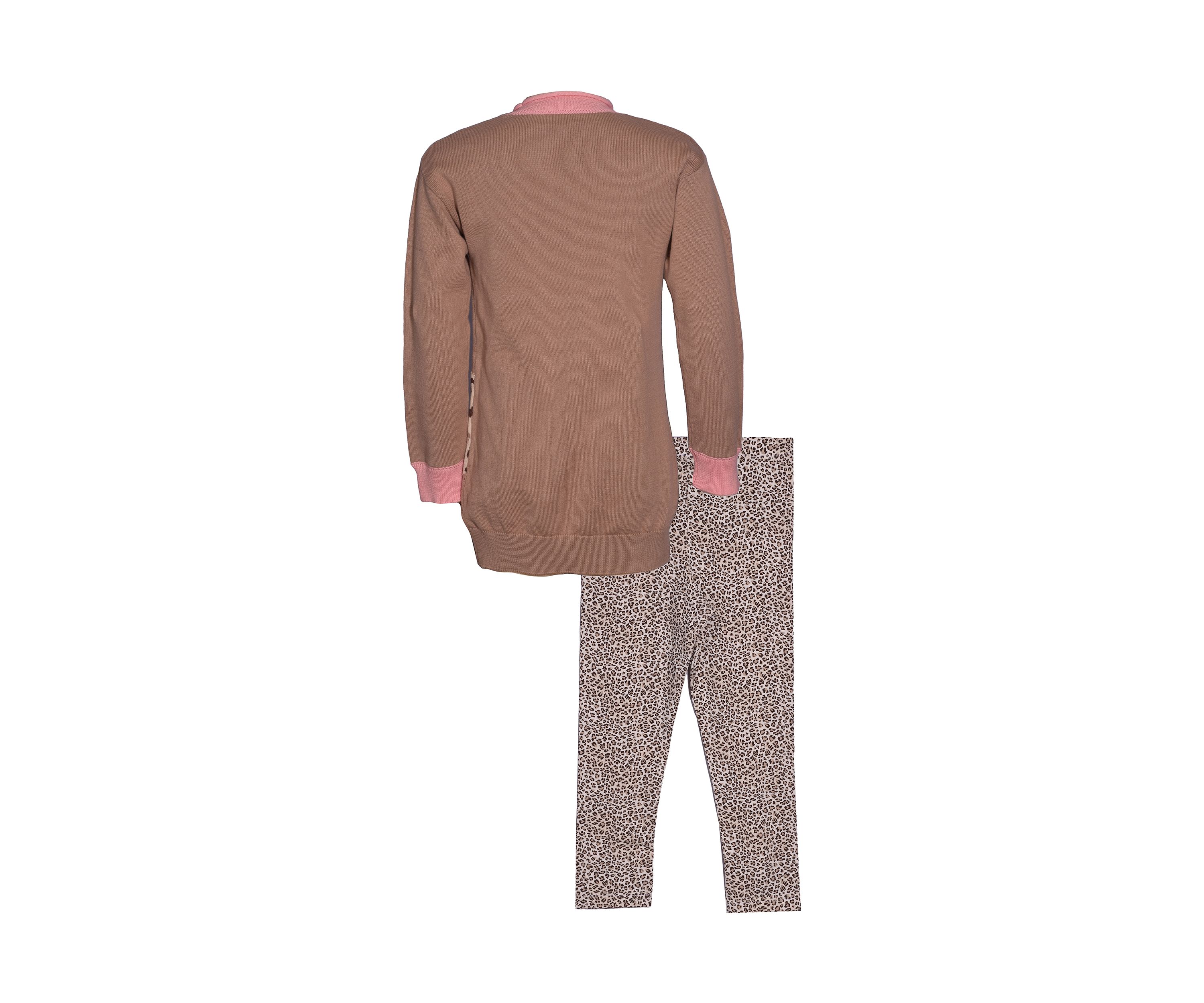 Girls 4-6x Animal Sweater Set