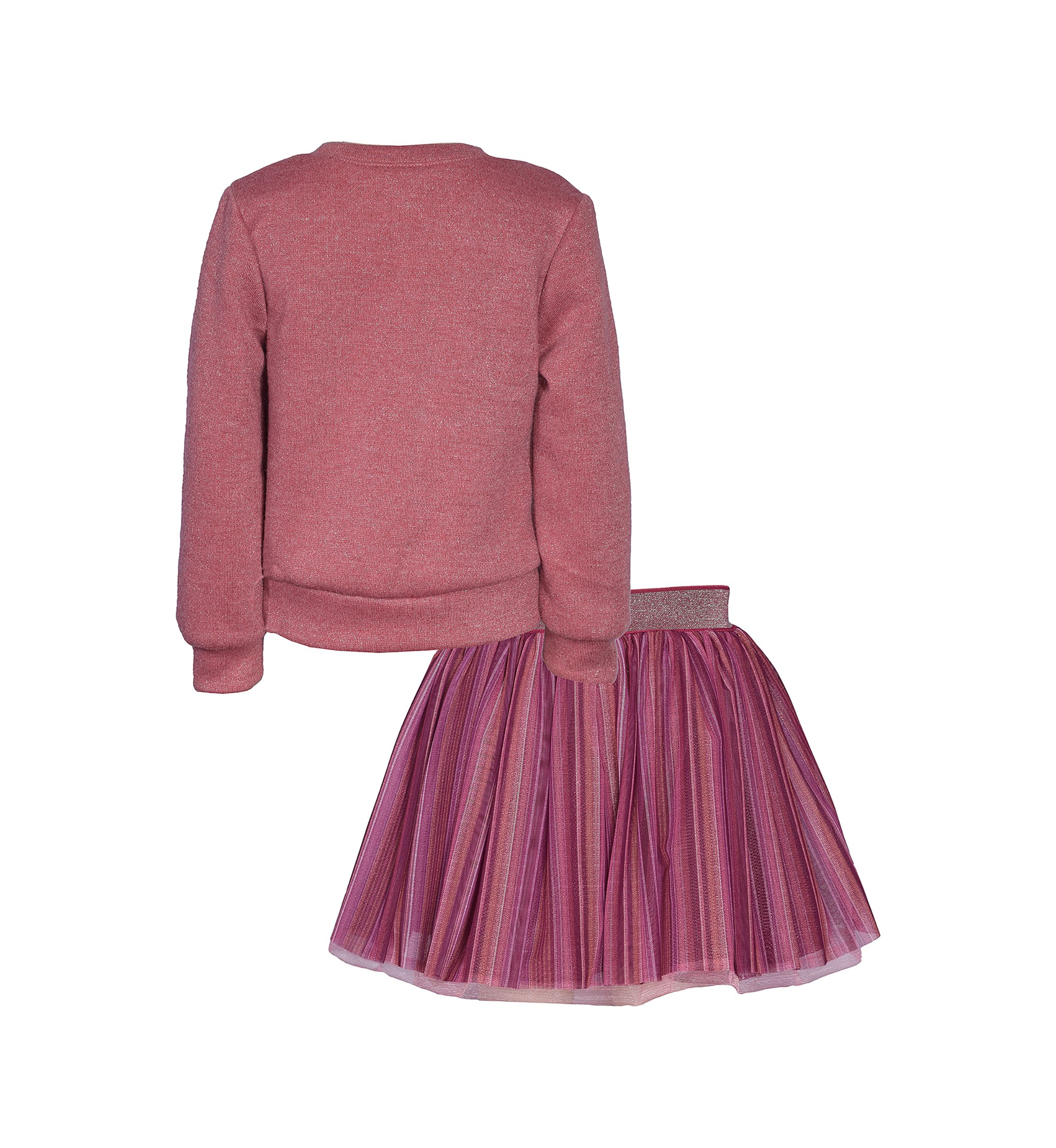 Girls 4-6x Butterfly Embroidered Sweater and Skirt Set