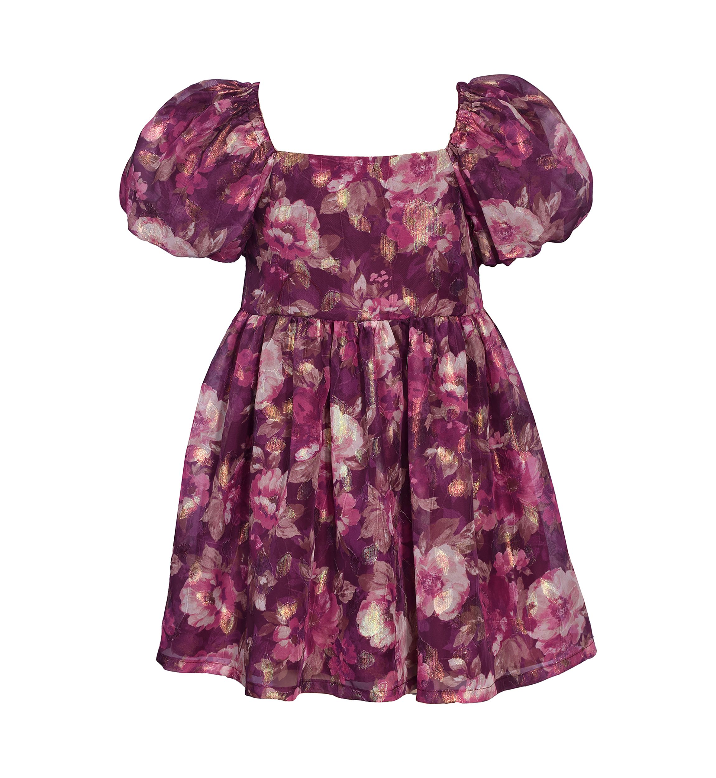 Girls 4-6x Jacquard Chiffon Printed Ruffle Dress