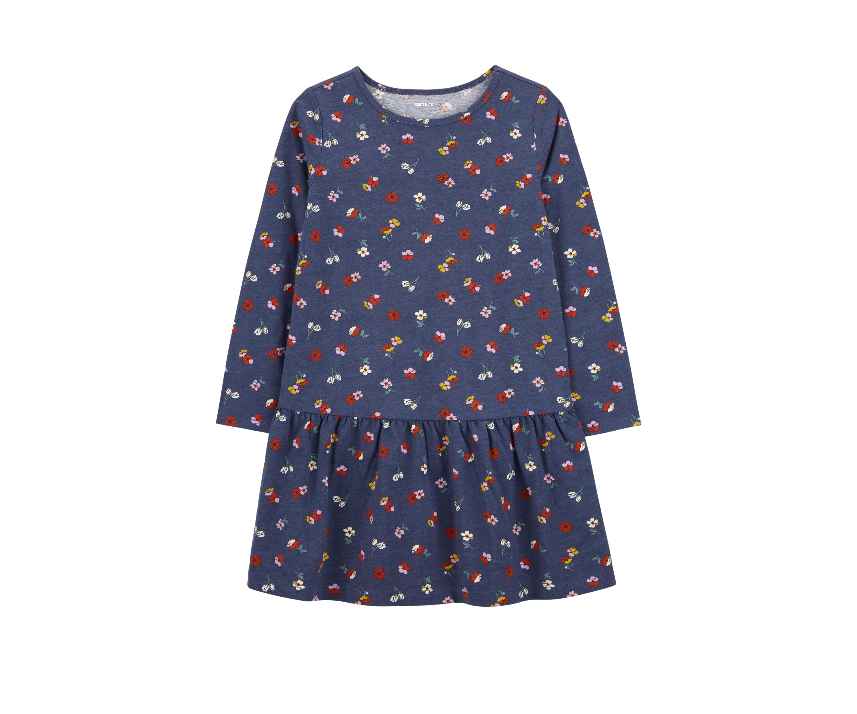Girls 4-6x Long Sleeve Floral Printed Dress