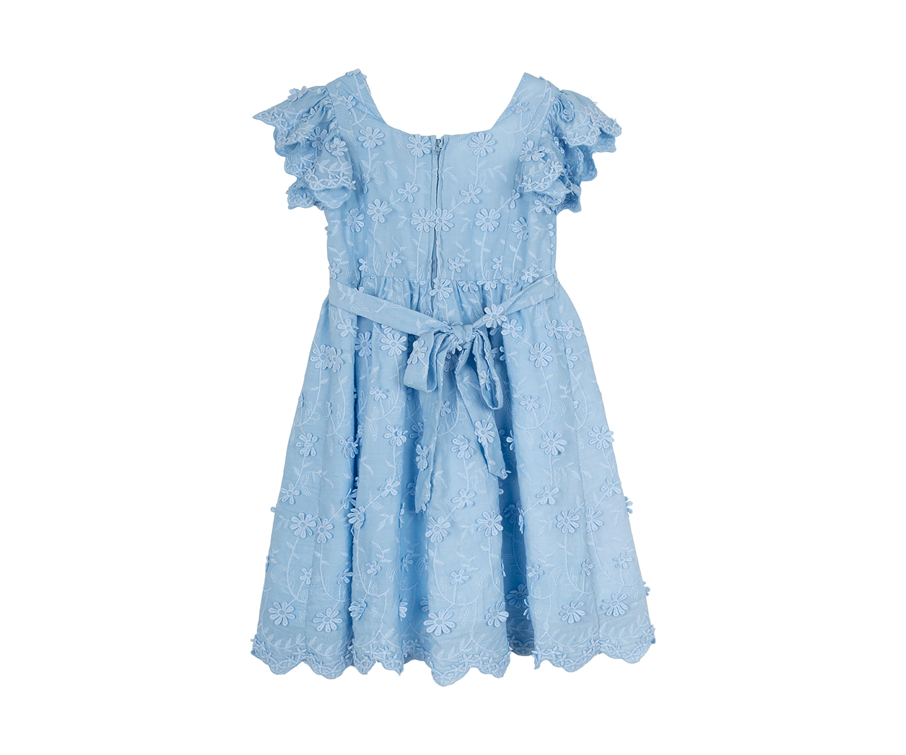 Girls 4-6x Ruffle Sleeve Dress