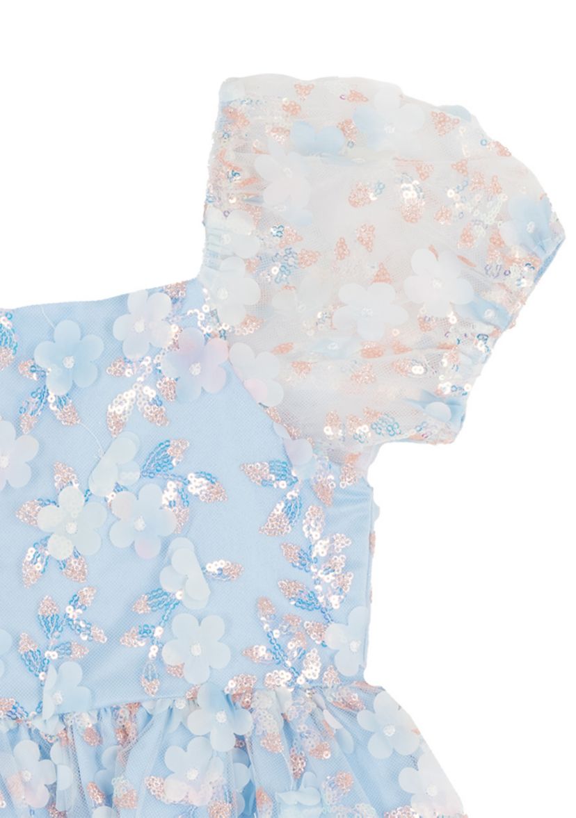 Rare Editions Girls 4-6 Blue Floral Sequin Mesh Dress