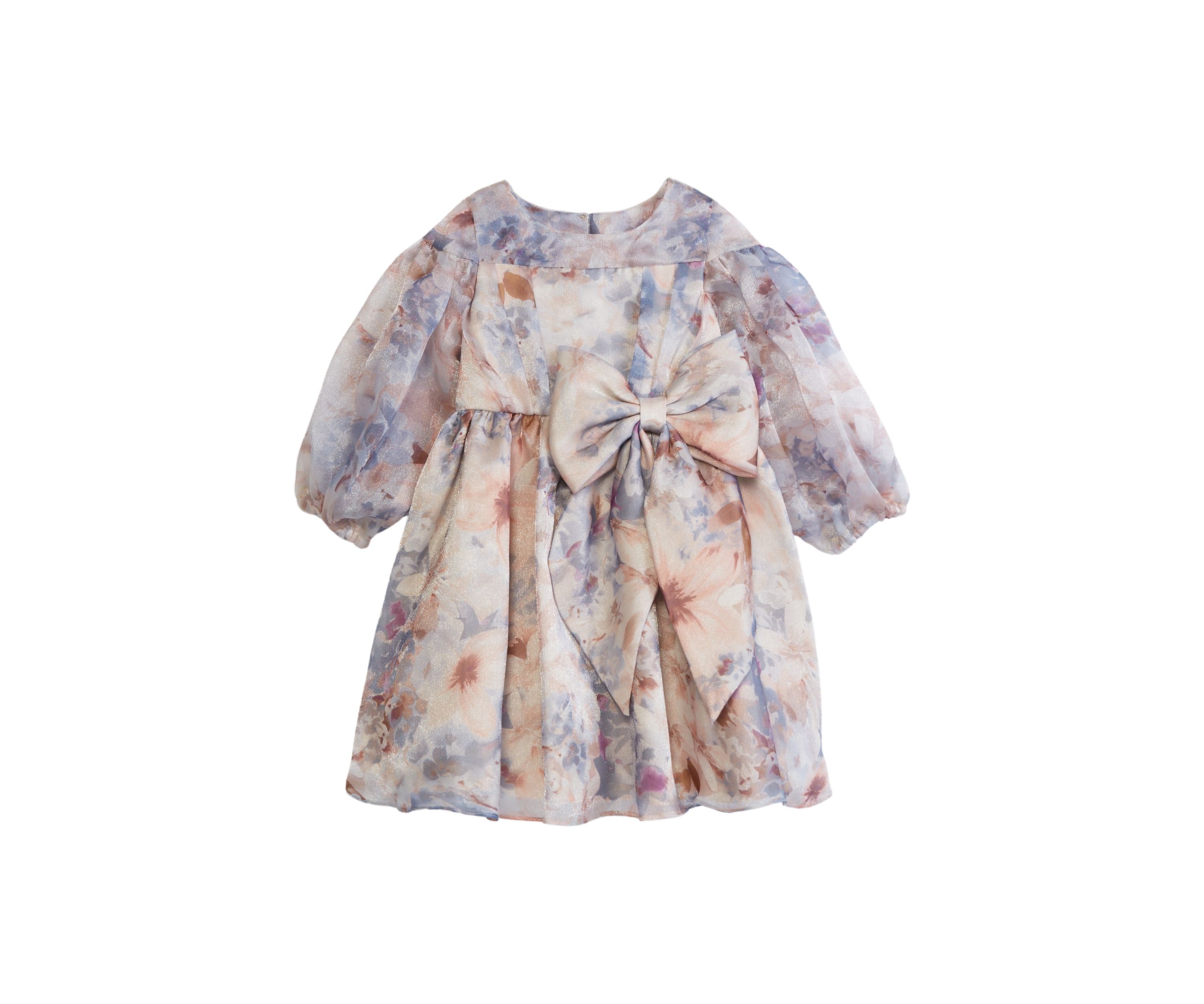Girls 4-6x Printed Organza Dress