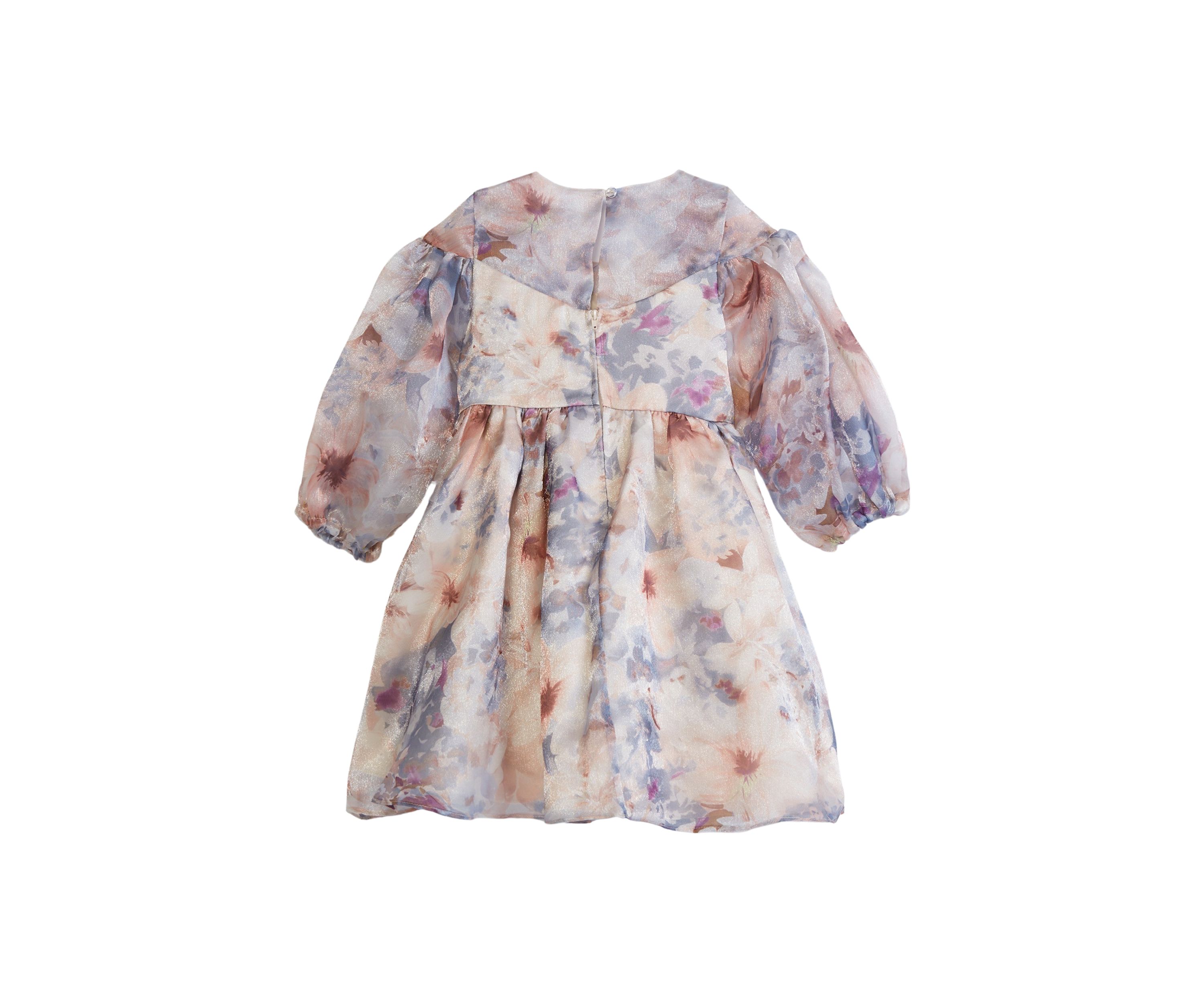 Girls 4-6x Printed Organza Dress
