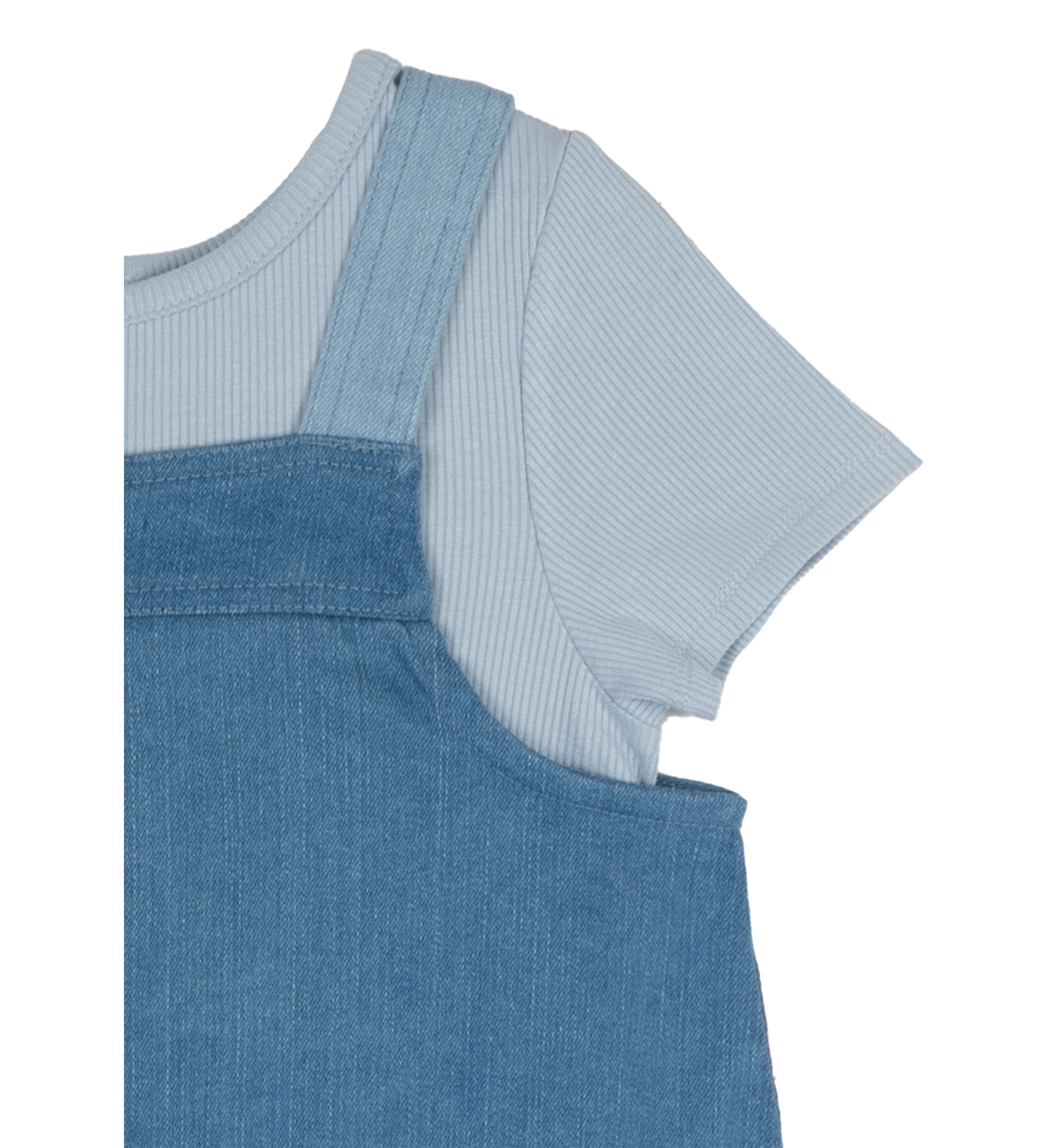Girls 4-6x Ribbed Knit T-Shirt and Jumper Dress Set