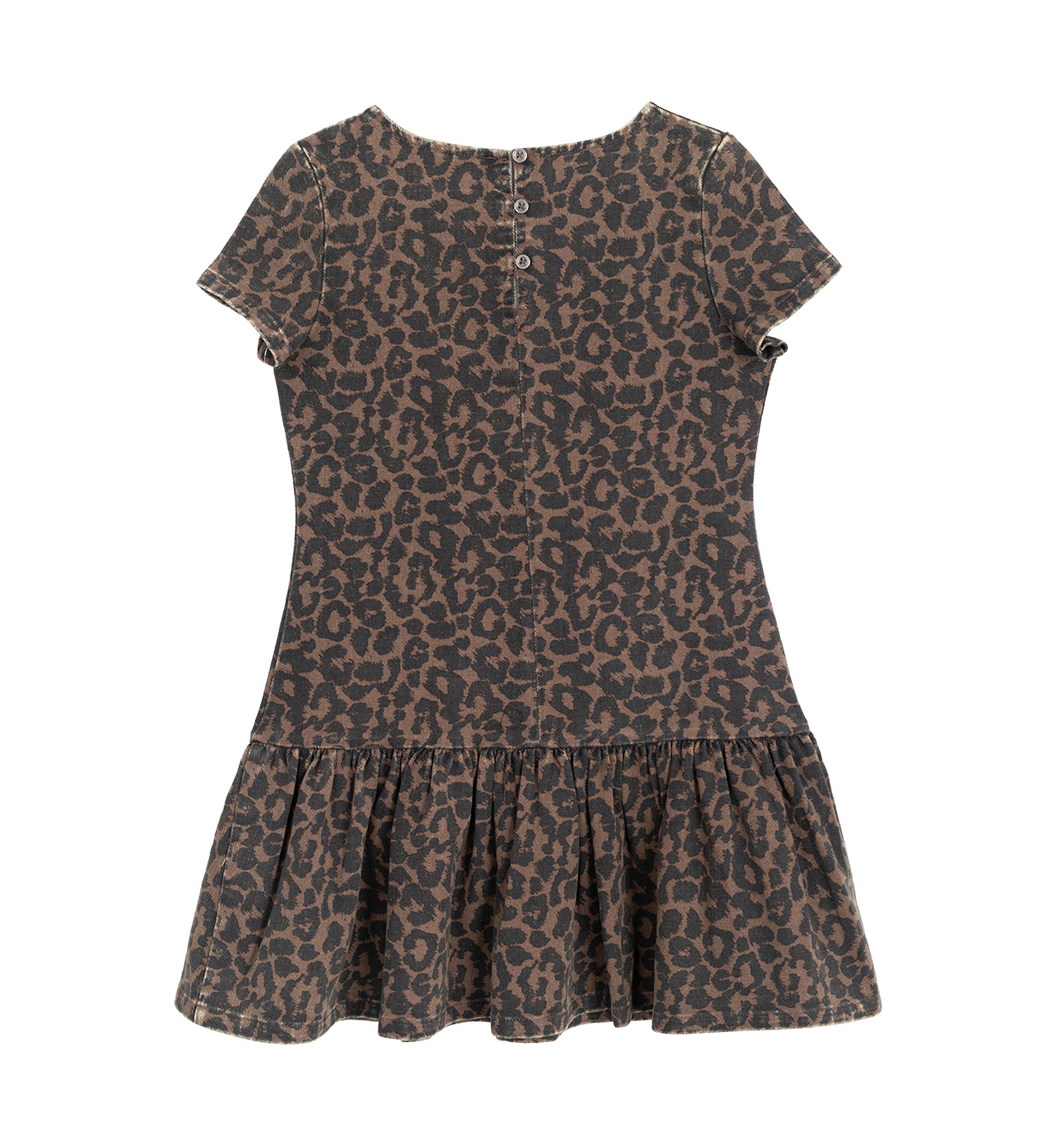 Girls 7-16 Animal Printed Shift Dress