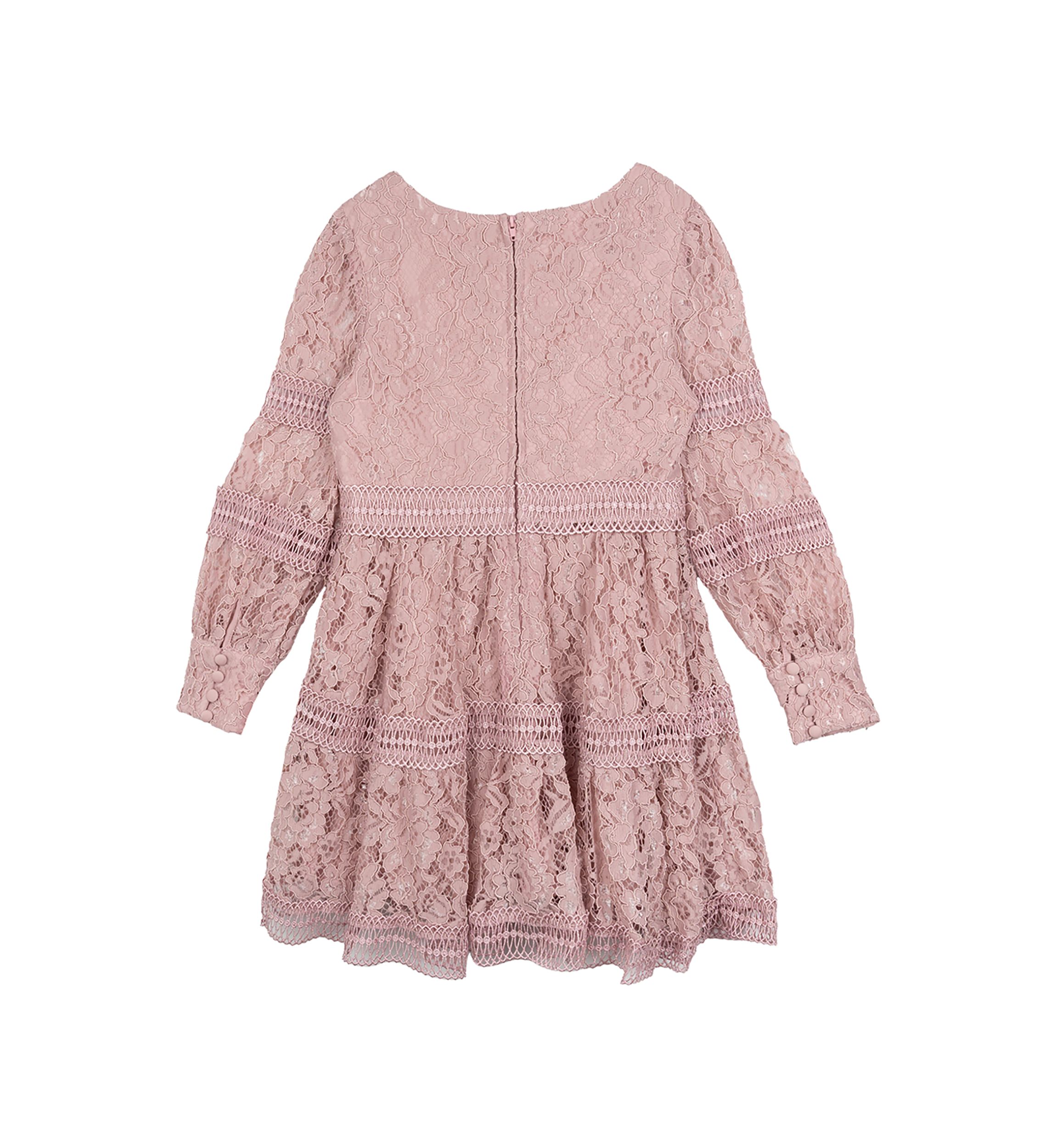 Girls 7-16 Lace Dress with Trim Inserts