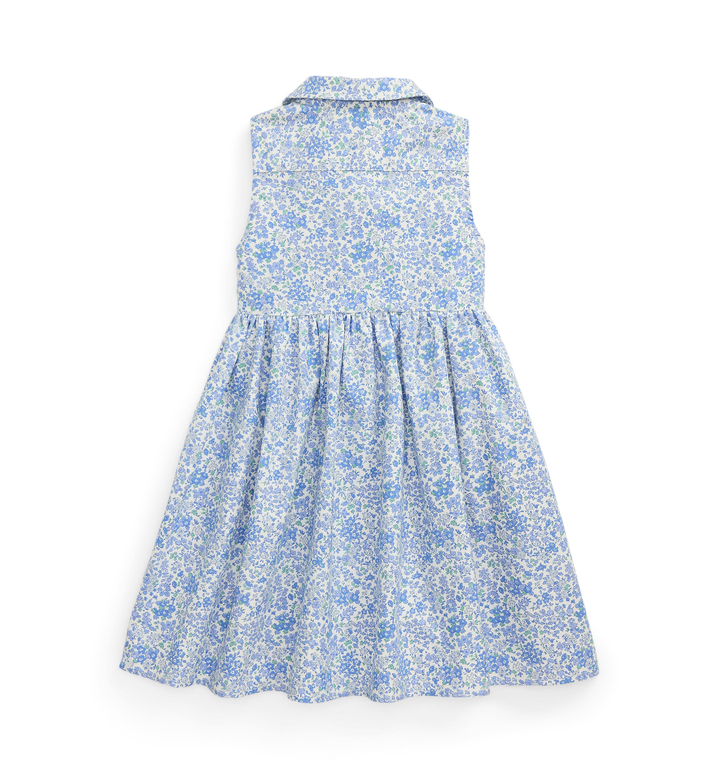 Girls 2-6x Floral Cotton Oxford Shirtdress