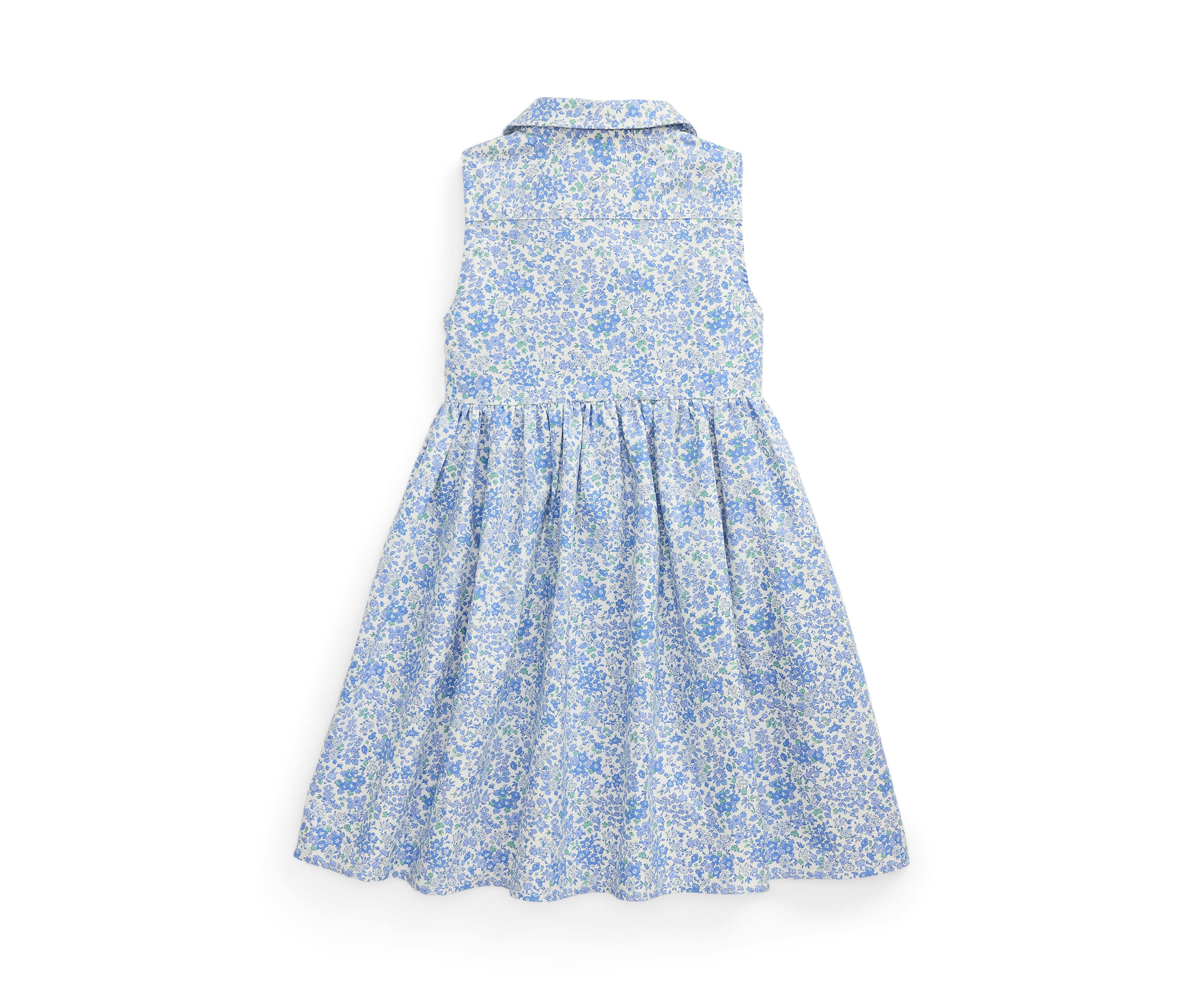 Girls 2-6x Floral Cotton Oxford Shirtdress