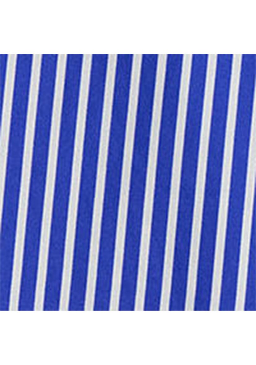 Girls 2-6x Polo Bear Striped Cotton Poplin Dress