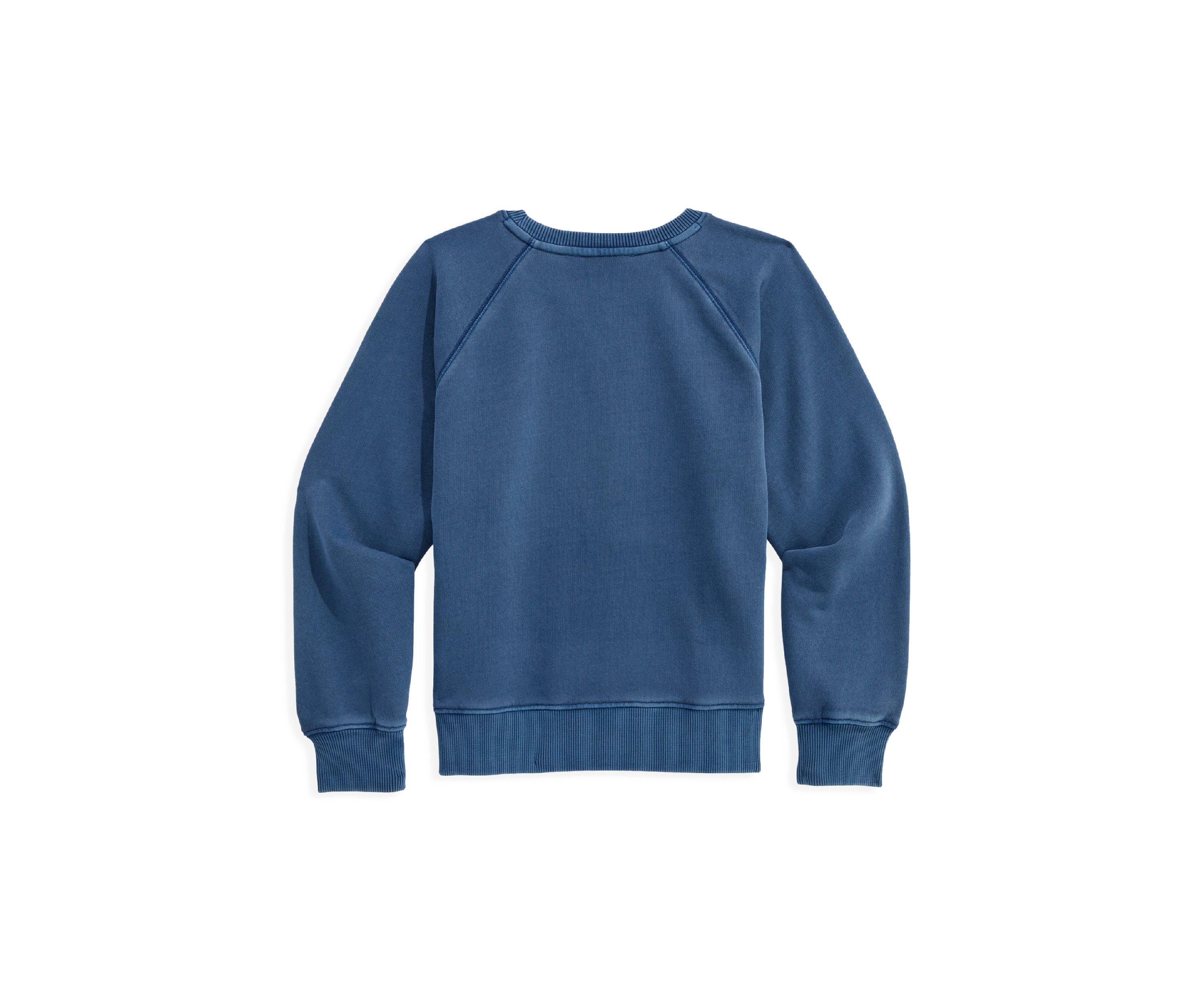 Girls 7-16 Raglan Whale Logo Graphic Crew Pullover
