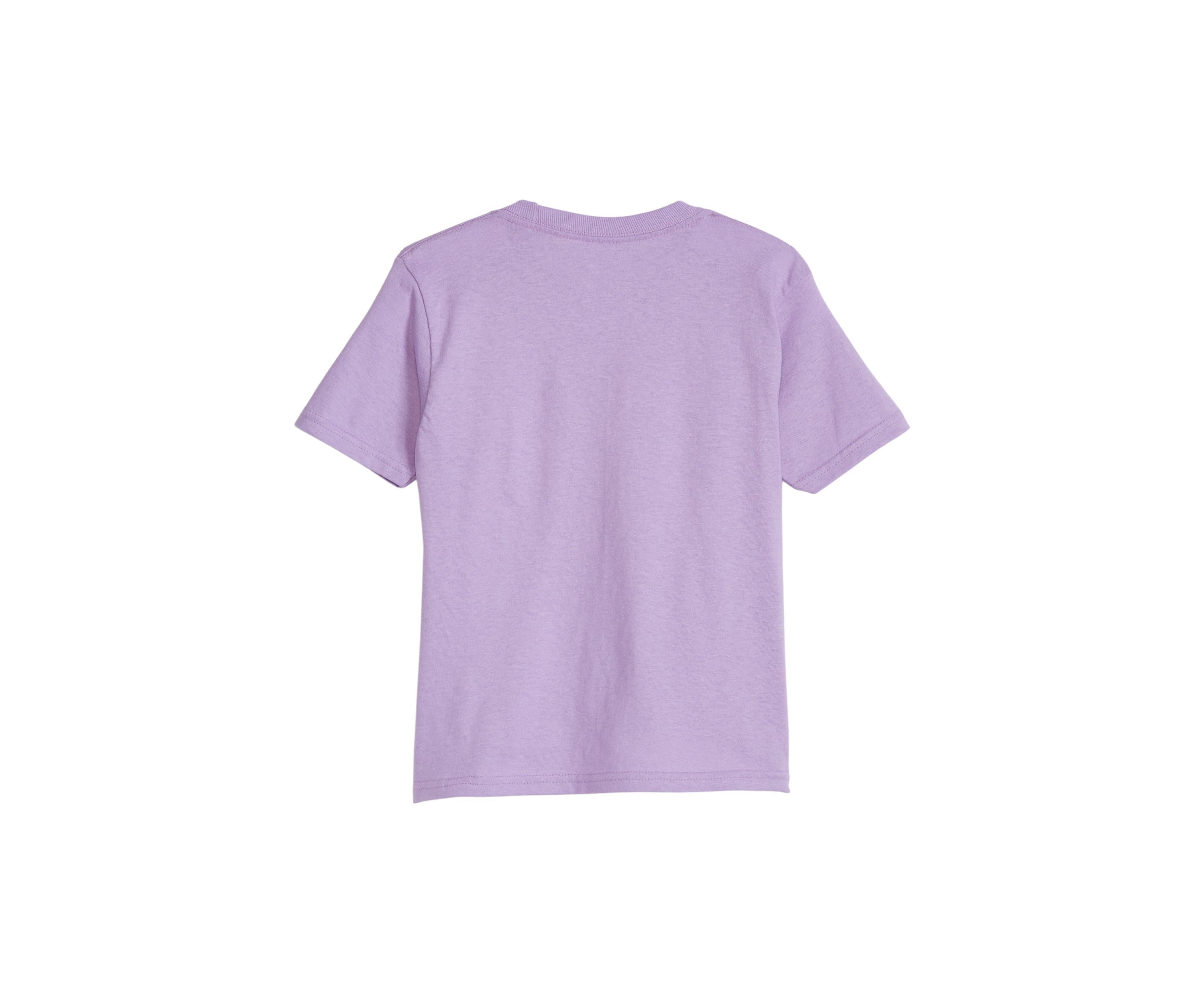 Girls 4-6x Desert Short Sleeve Graphic T-Shirt