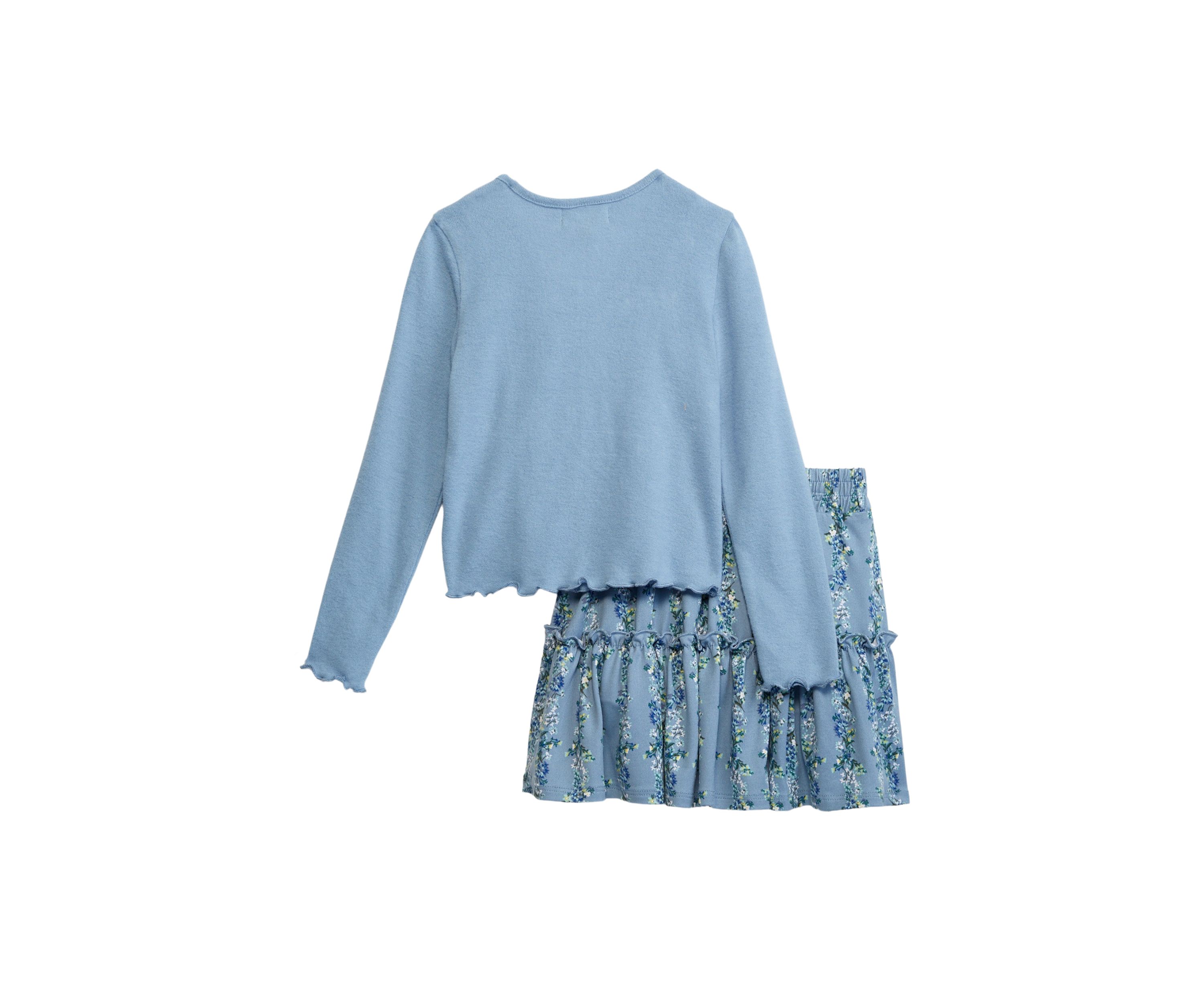 Girls 4-6x Cardigan and Skirt Set 