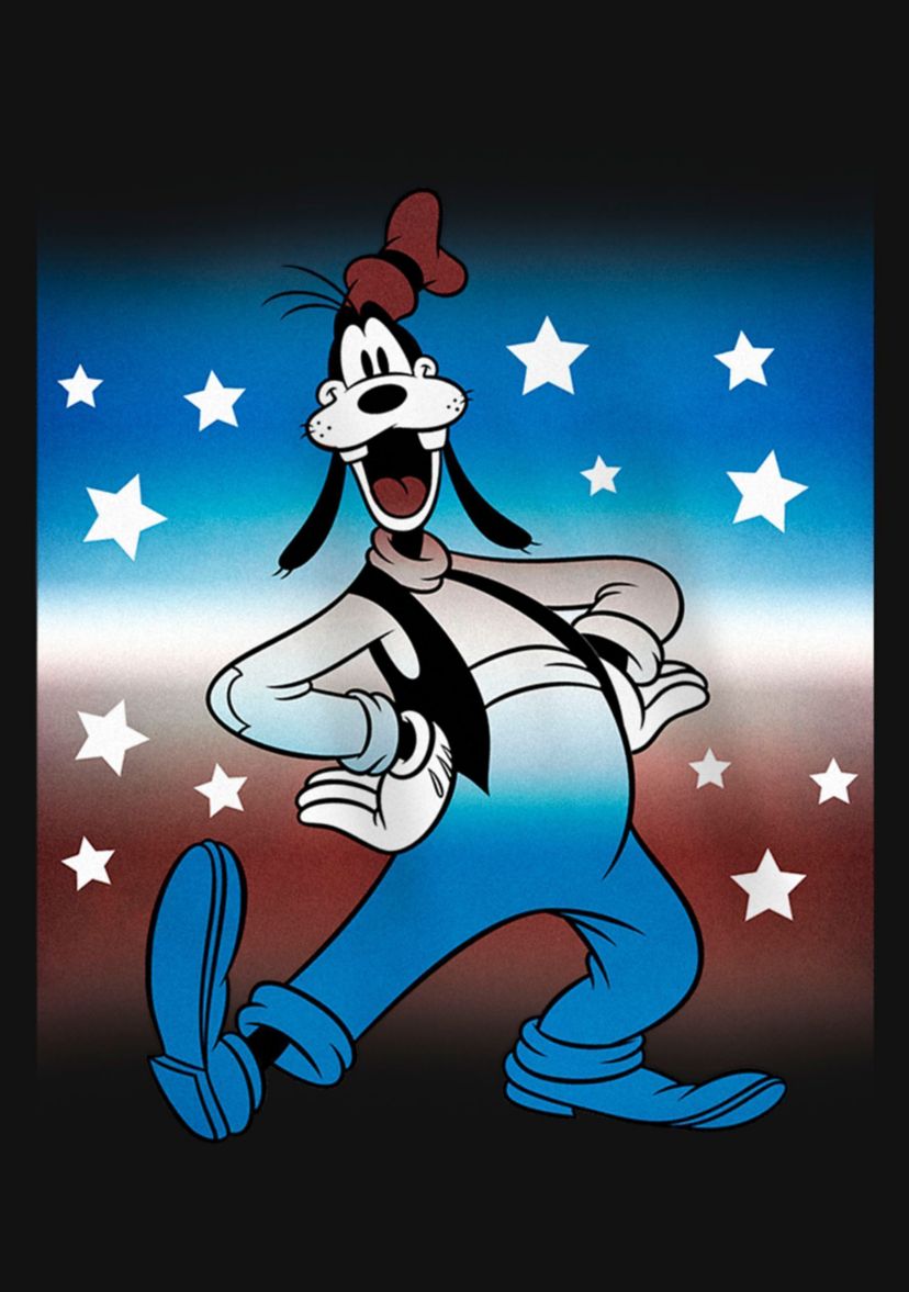 Patriotic Goof Graphic T-Shirt