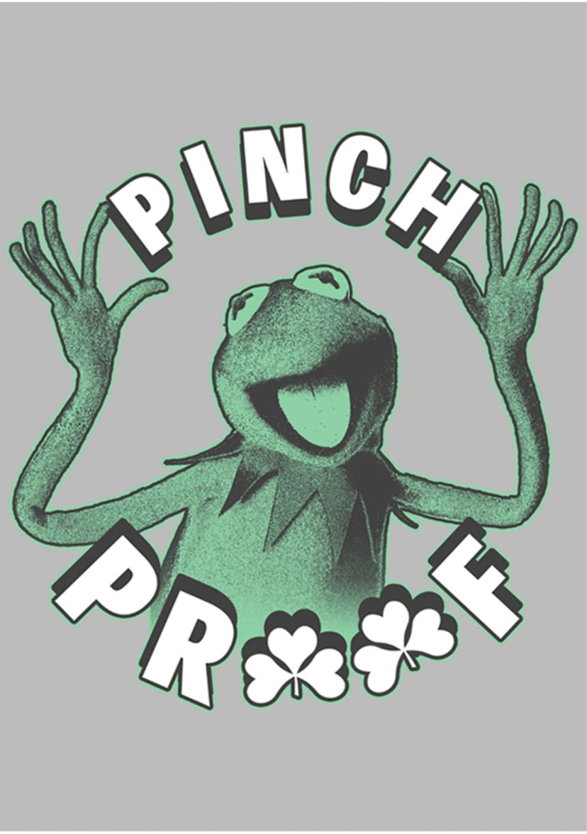 Girls 46x Muppets Pinch Proof Kermit Graphic Top