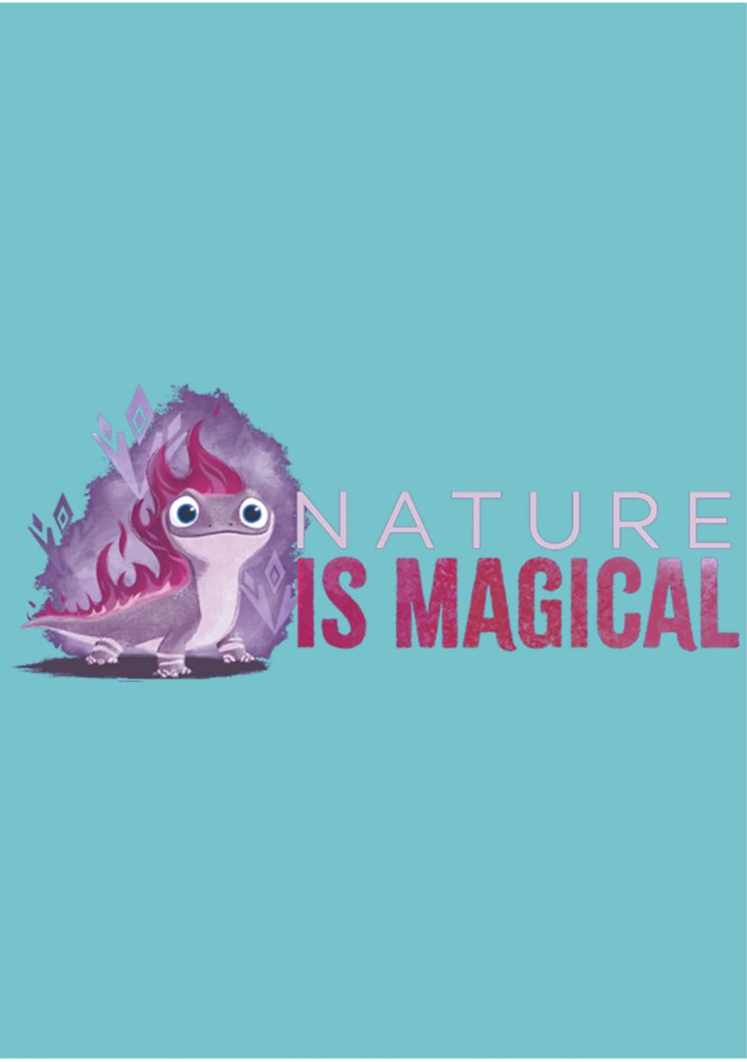 Magical Salamander