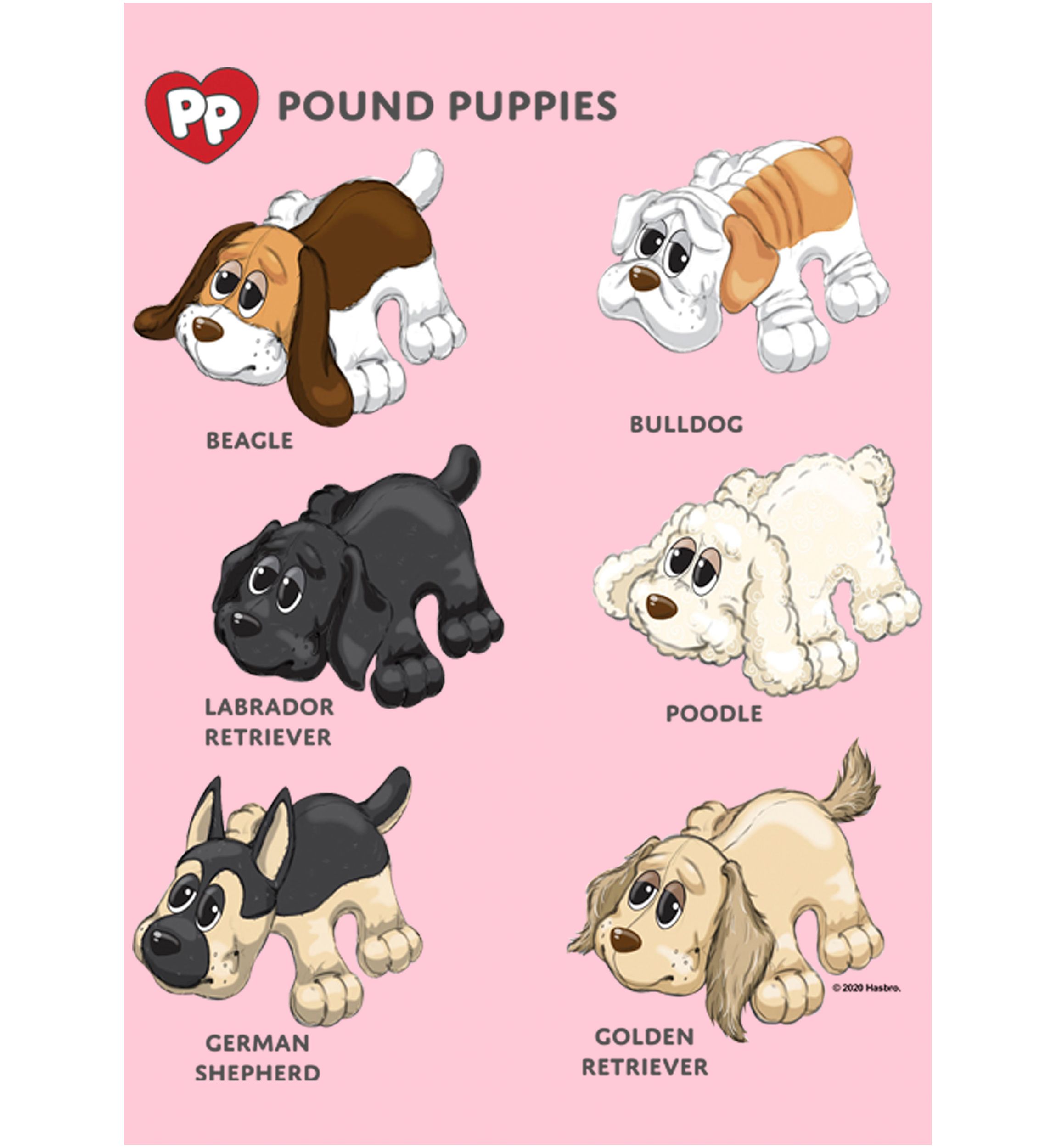 Girls 4-6x Puppy Types Graphic T-Shirt