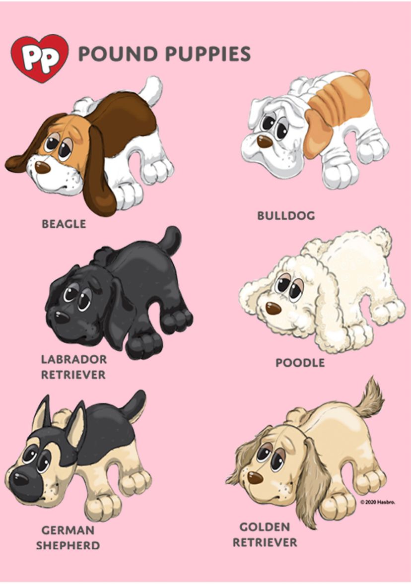 Girls 4-6x Puppy Types Graphic T-Shirt