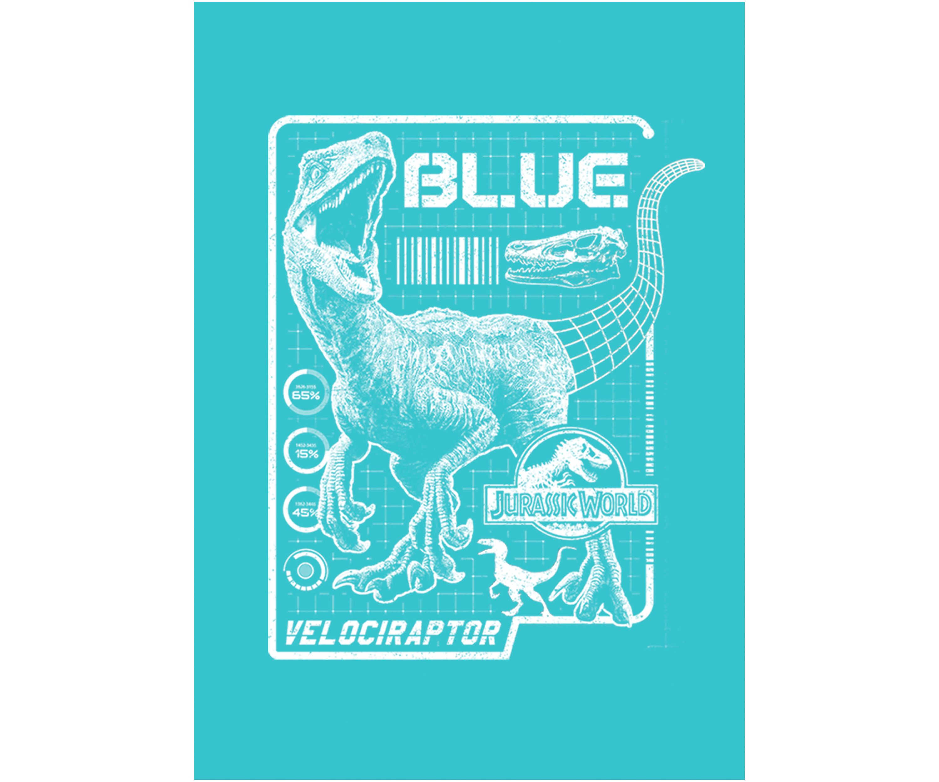 Girls 4-6x Raptor Blue Print Graphic T-Shirt