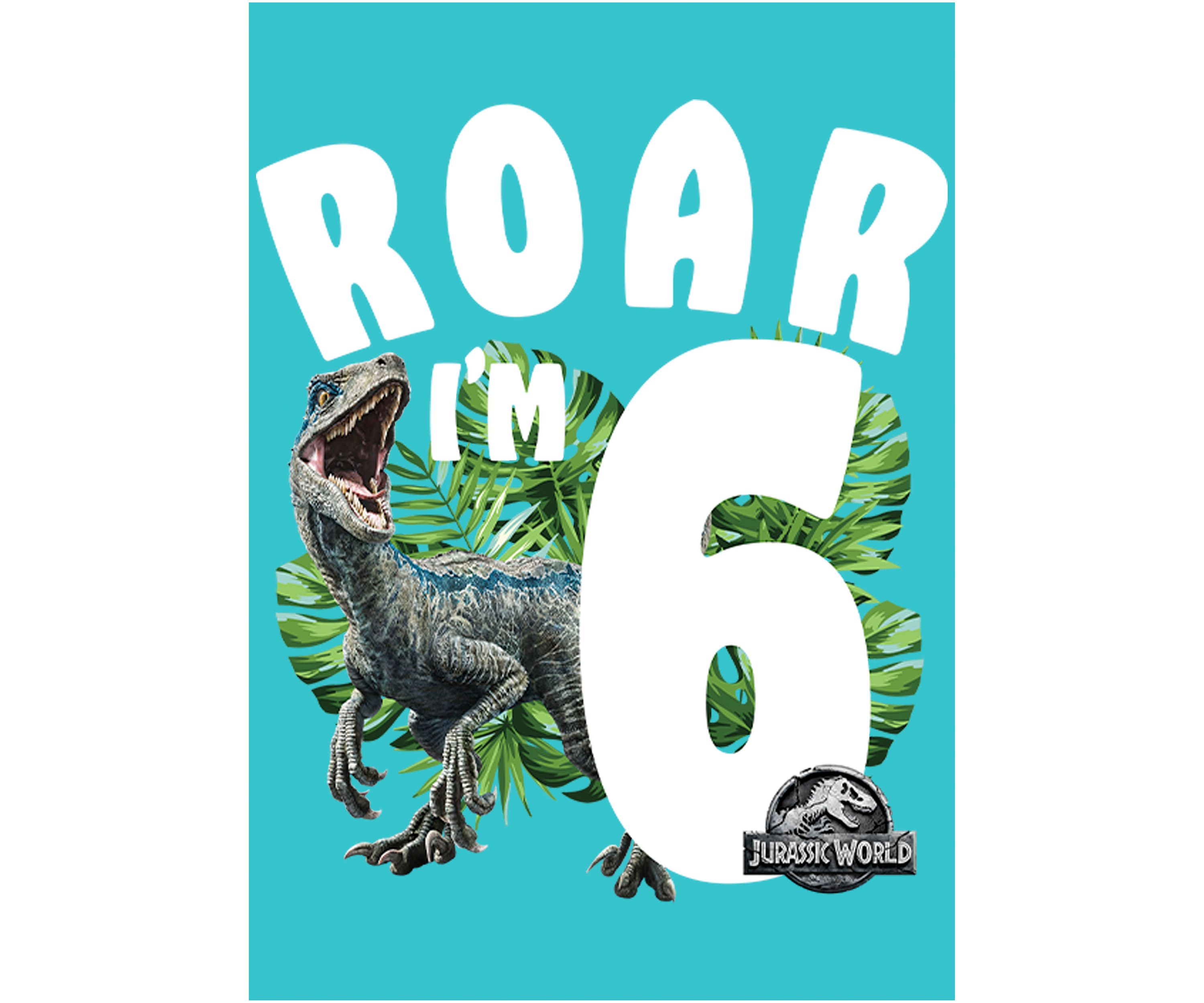 Girls 46x Jurrassic World Rawr Birthday 6 Graphic Top