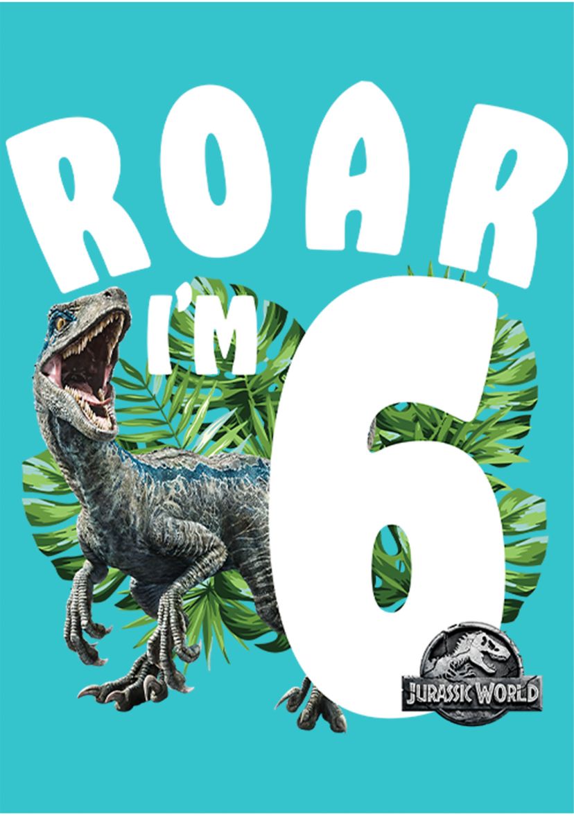 Girls 46x Jurrassic World Rawr Birthday 6 Graphic Top