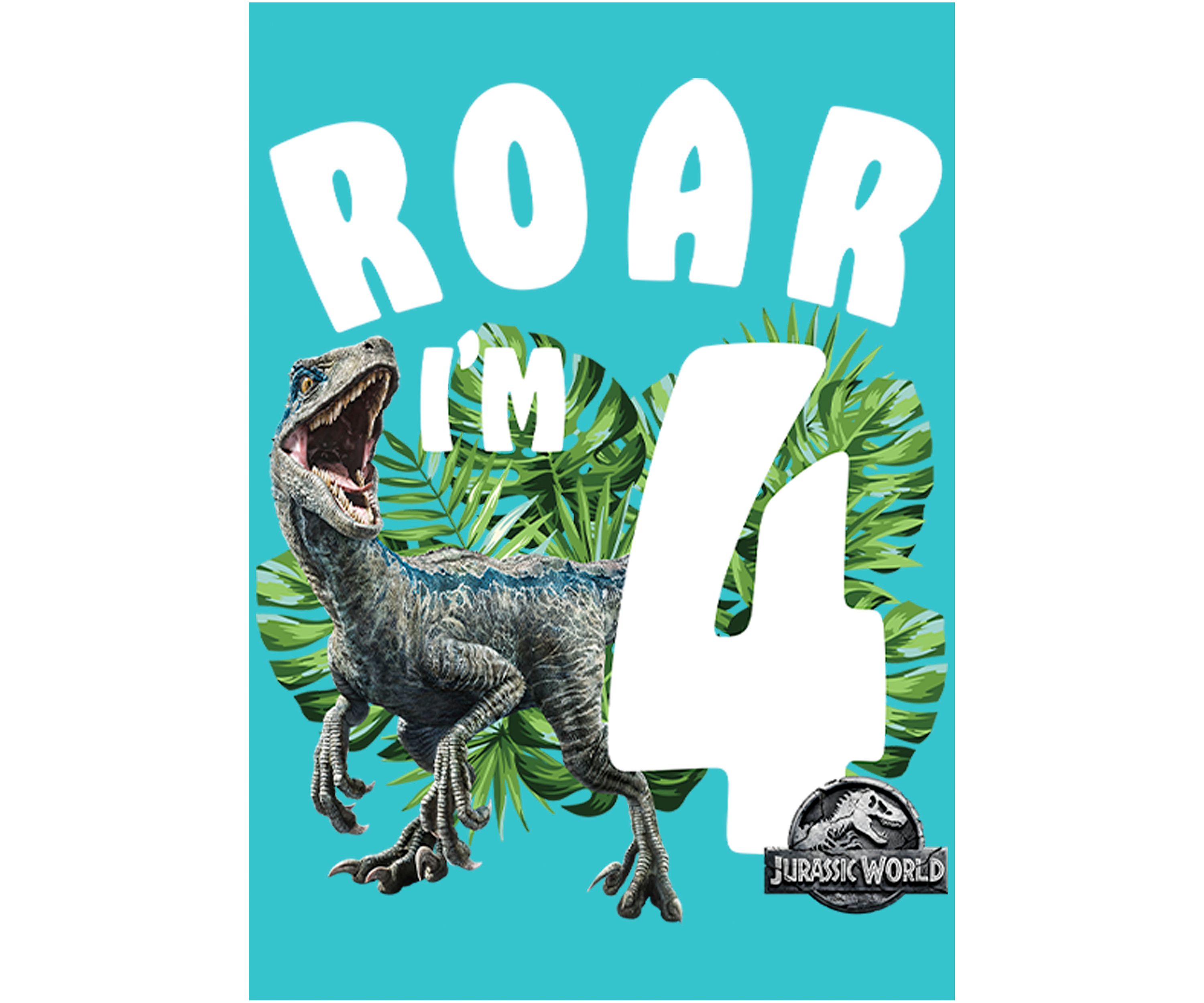 Girls 46x Jurrassic World Rawr Birthday 4 Graphic Top