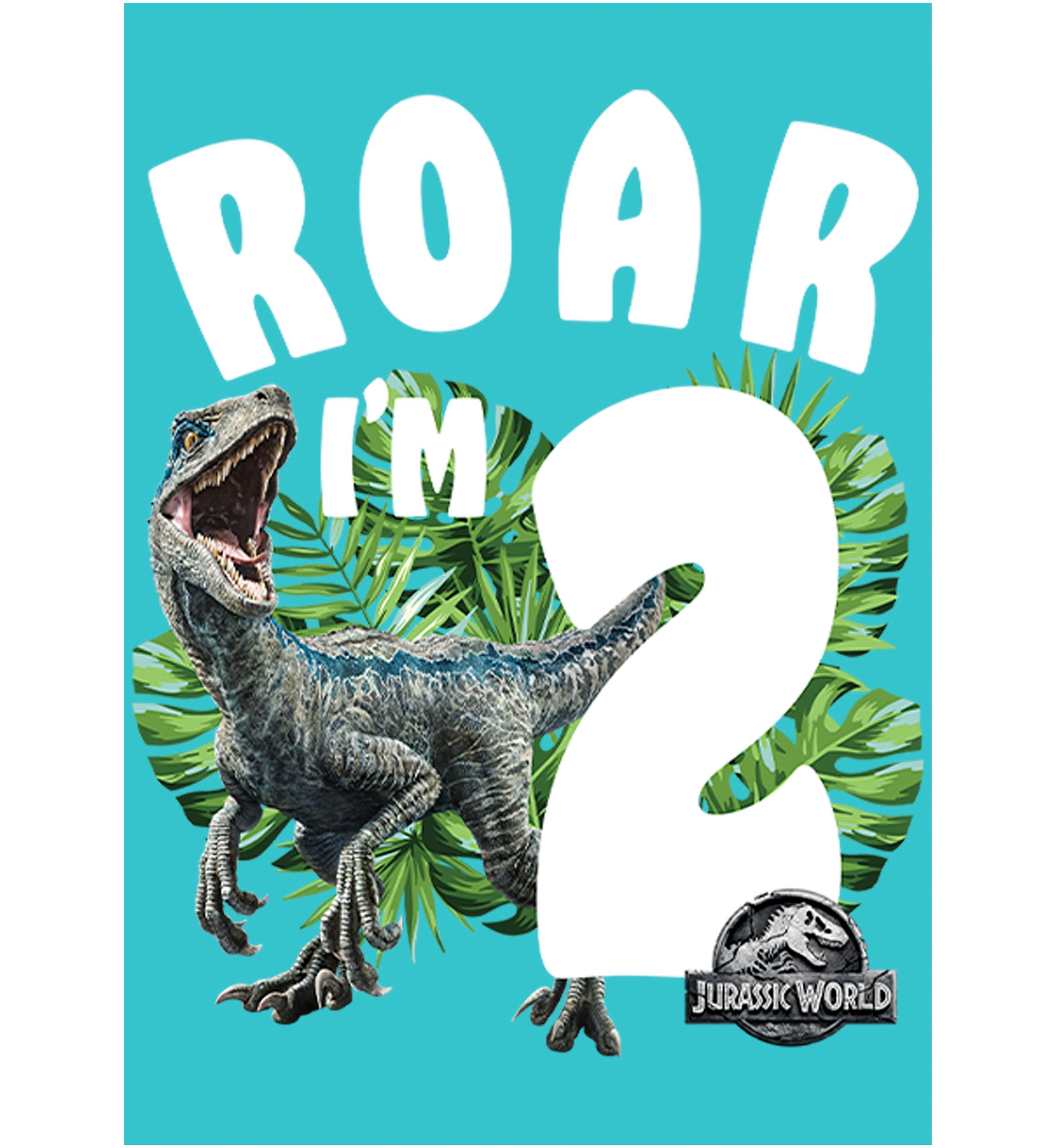Girls 46x Jurrassic World Rawr Birthday 2 Graphic Top