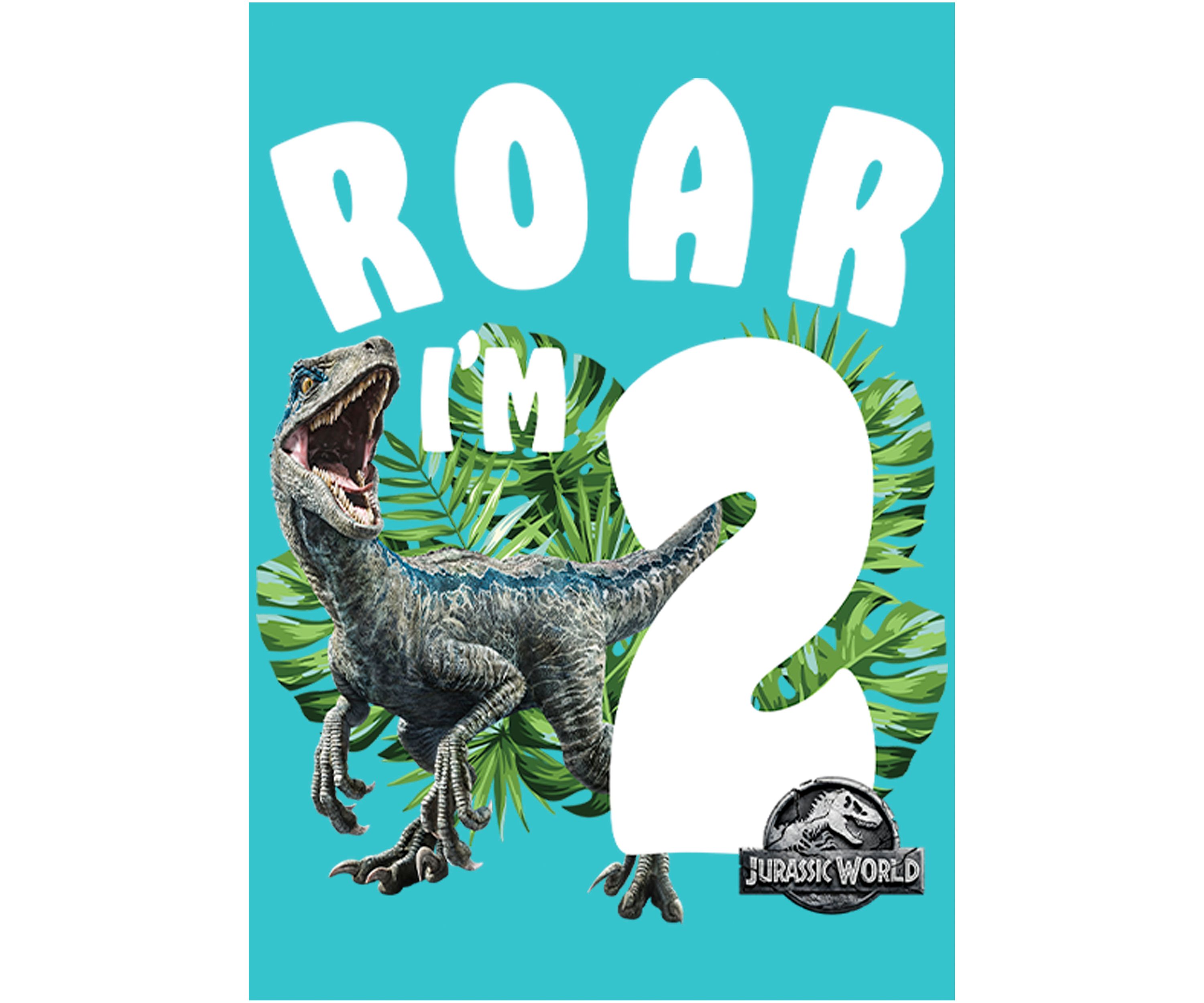 Girls 46x Jurrassic World Rawr Birthday 2 Graphic Top
