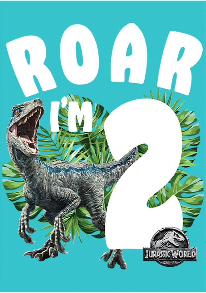 Girls 46x Jurrassic World Rawr Birthday 2 Graphic Top